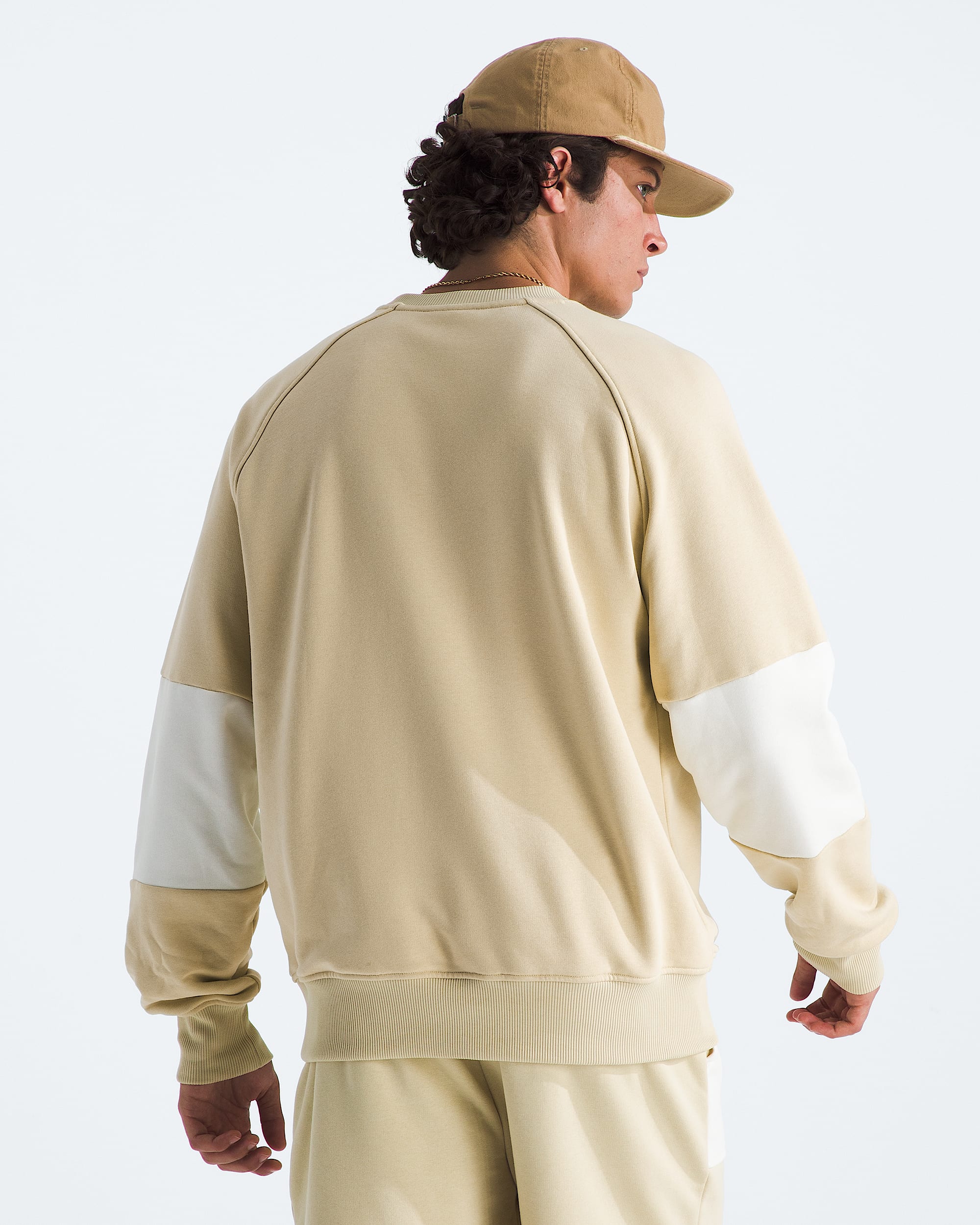 Mens Terry Relaxed Crew TNF BACK