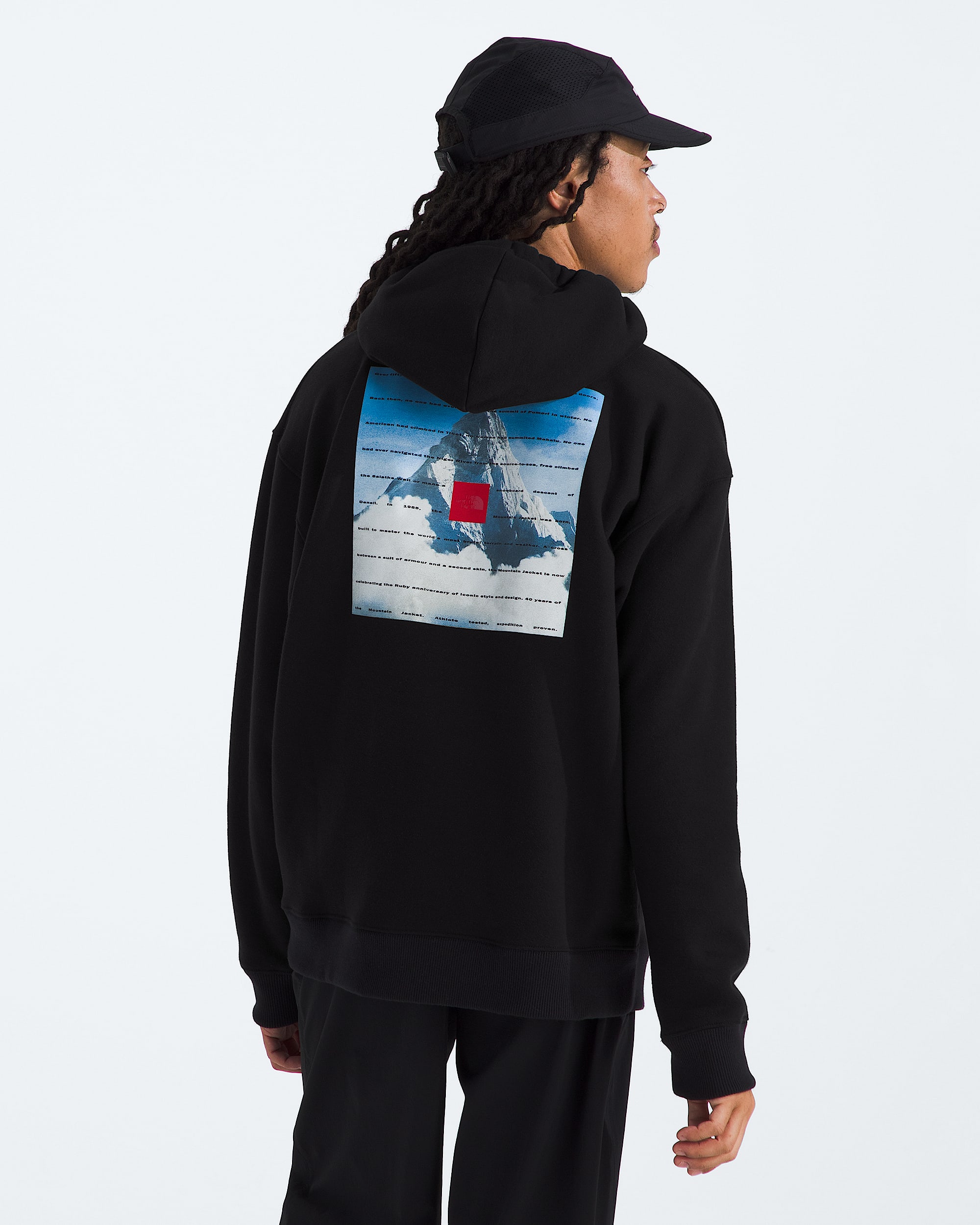 Mens 40th Anniversary Mountain Jacket Heavyweight Hoodie TNF BACK