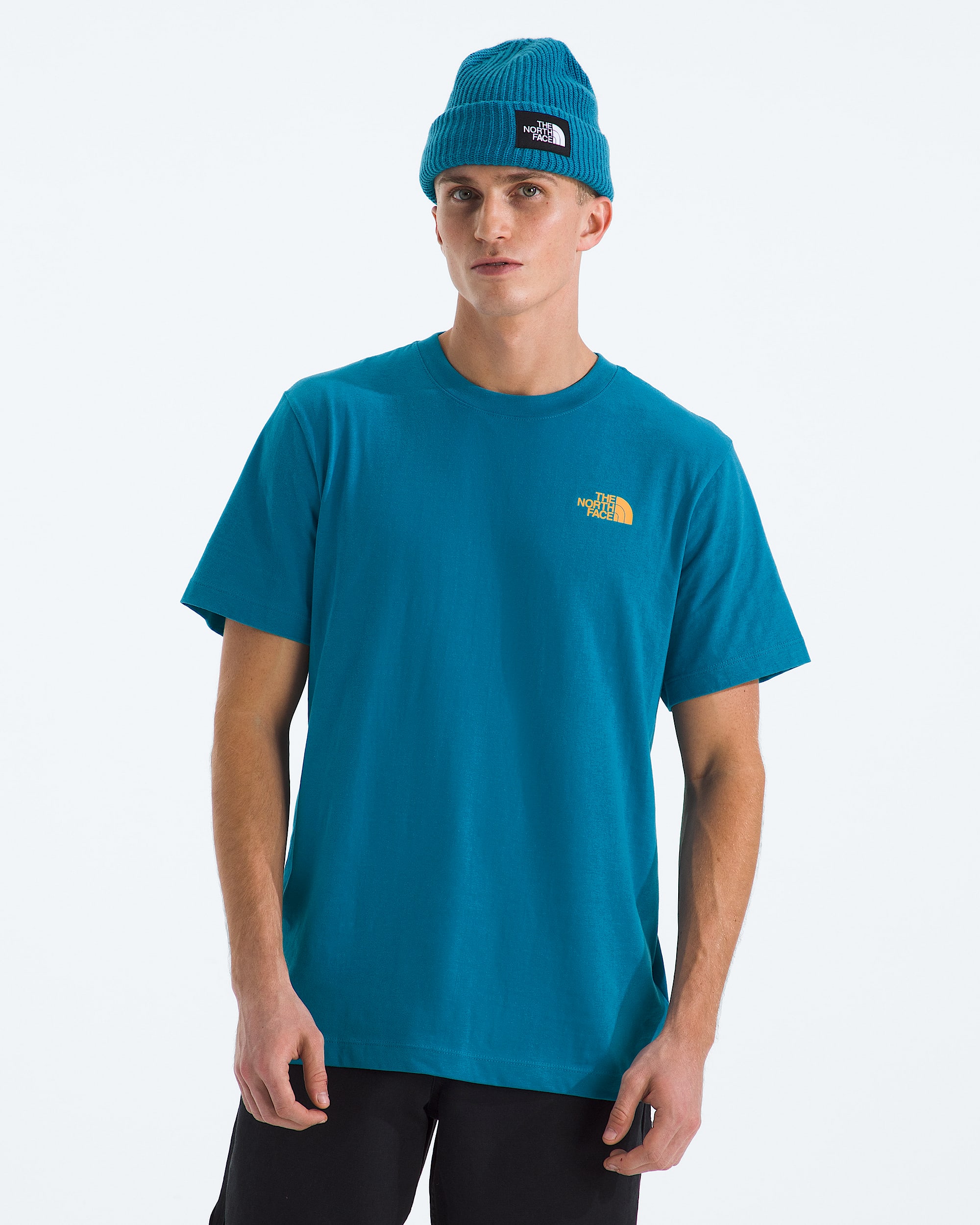 Men's Evolution Tent Short-Sleeve Tee—Graphic | The North Face