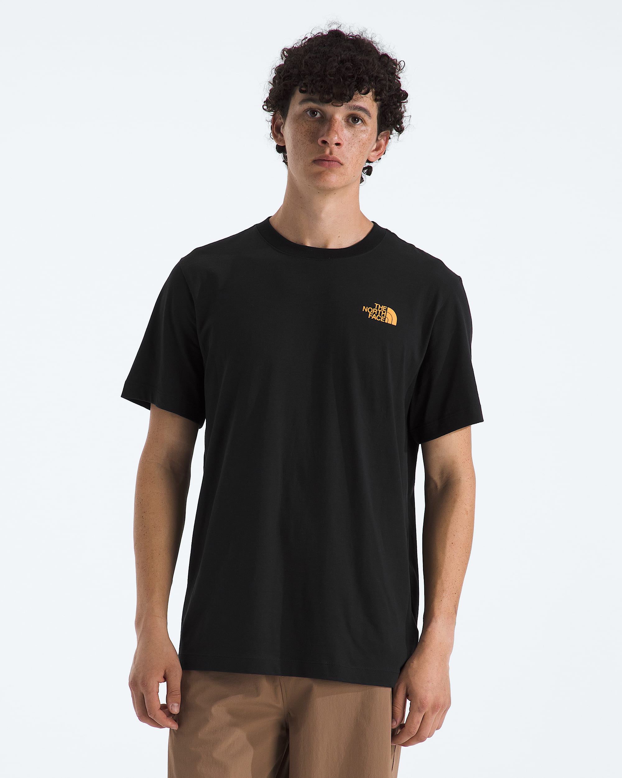 Mens Evolution Tent ShortSleeve TeeGraphic TNF BACK