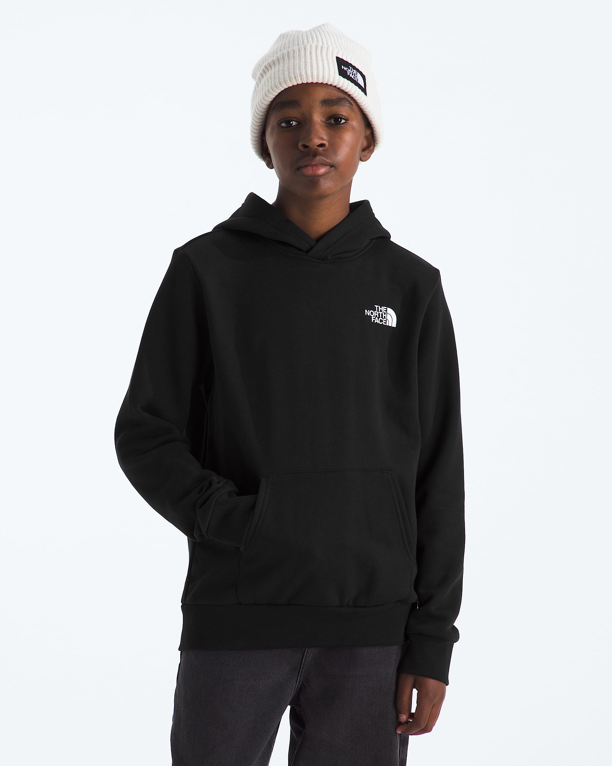Boys  Girls Evolution Print Box NSE Pullover Hoodie TNF BACK
