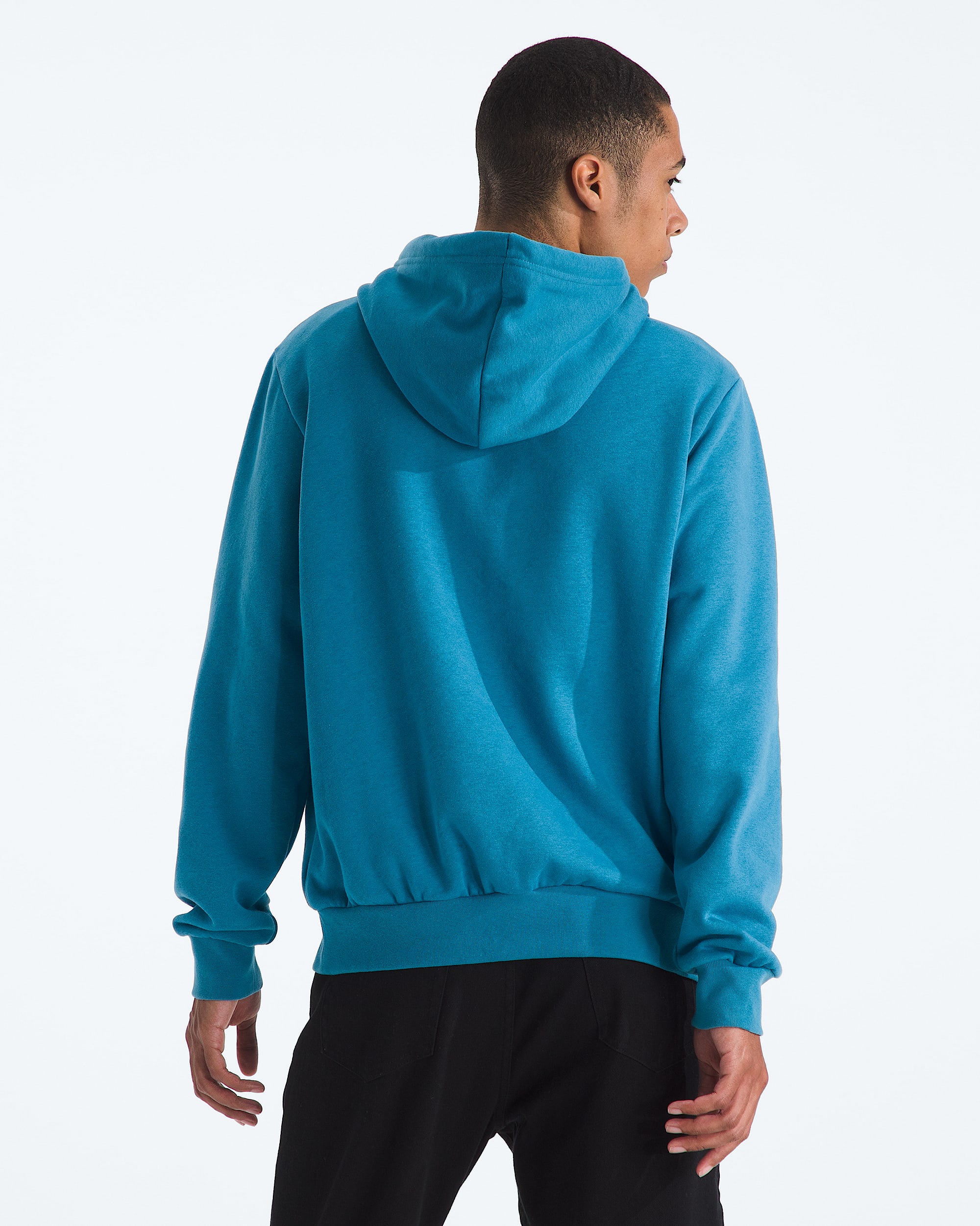 Mens Evolution Half Dome Regular Hoodie TNF BACK