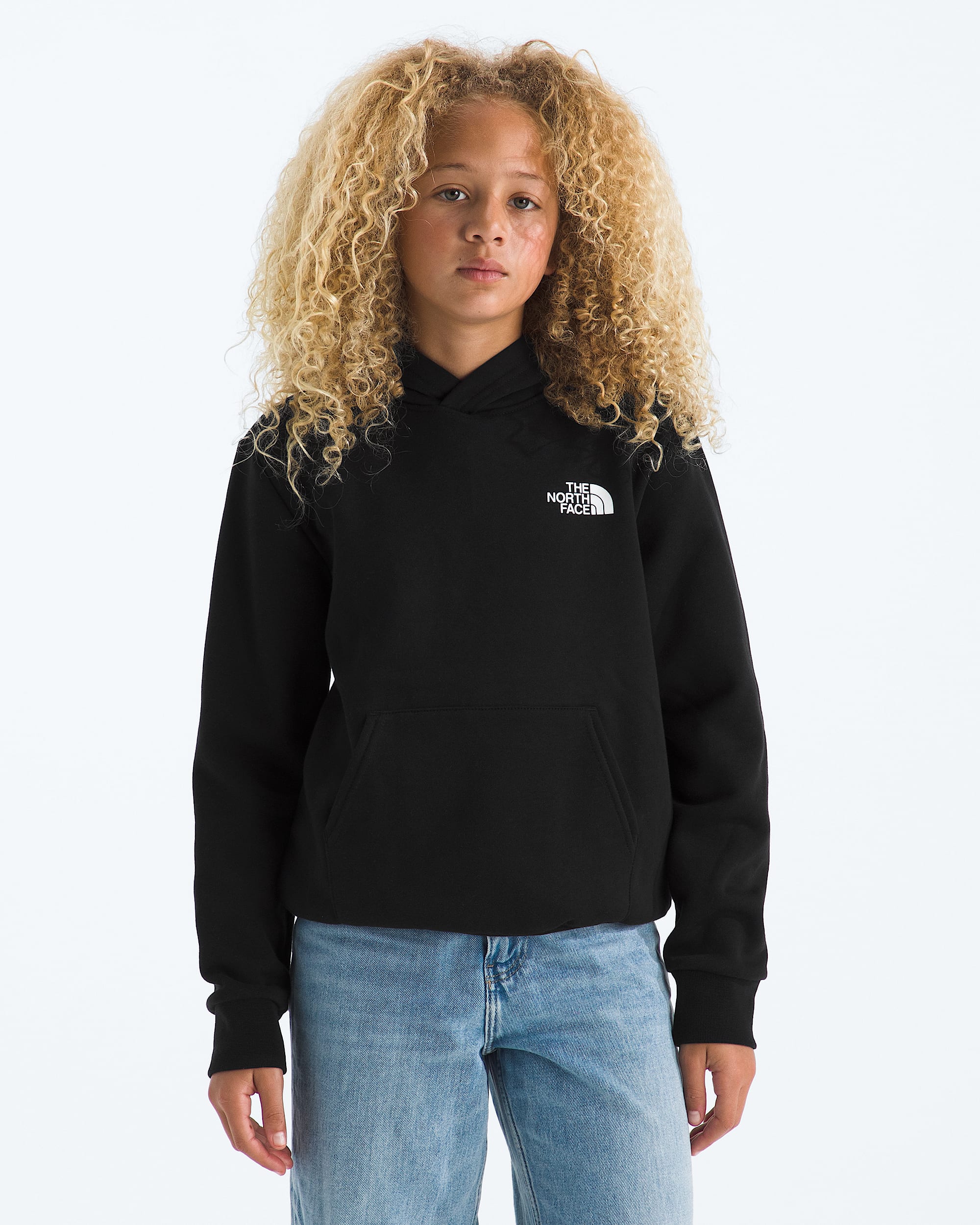 Boys  Girls Evolution Print Box NSE Pullover Hoodie TNF HERO3