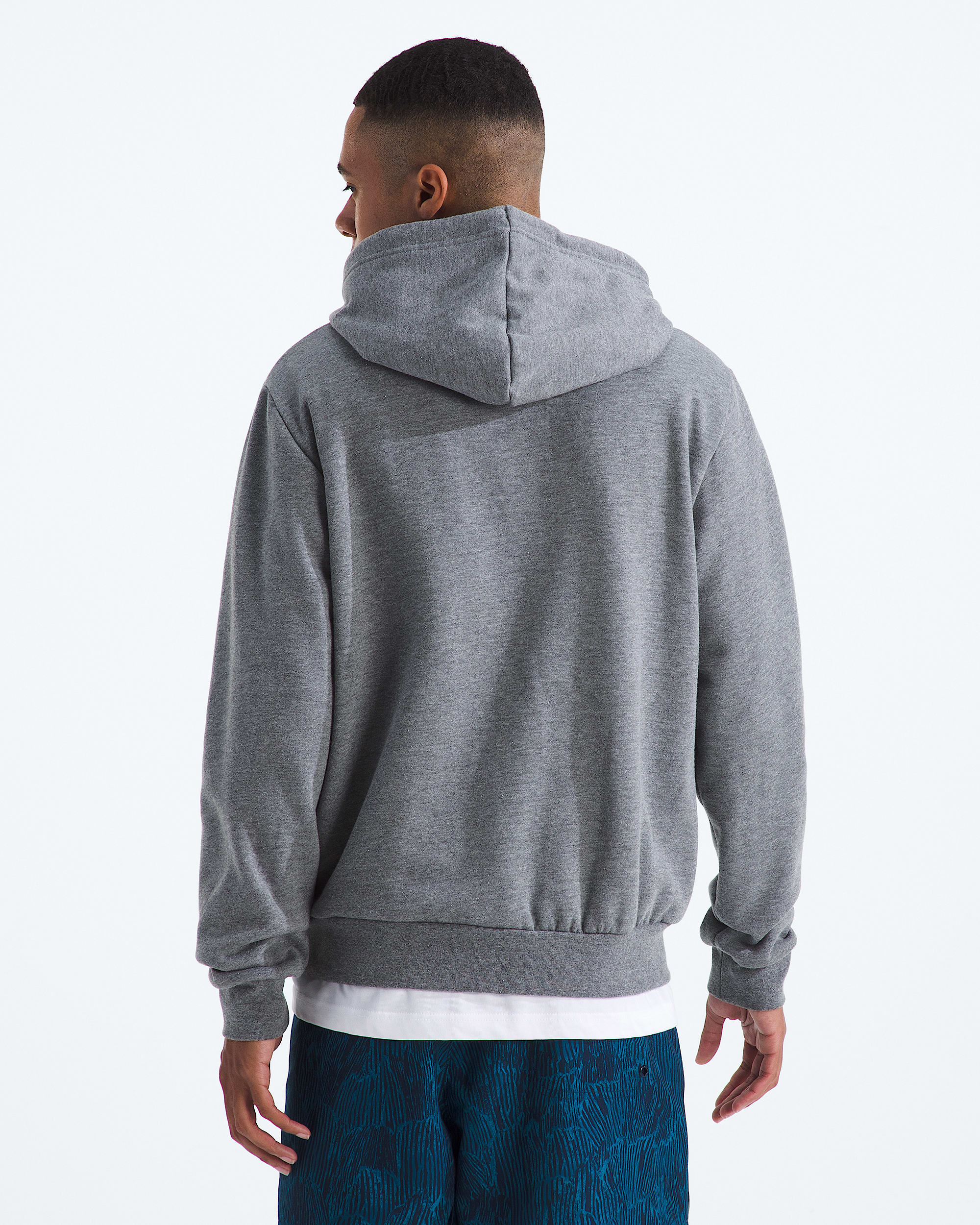 Mens Evolution Simple Dome Regular Hoodie TNF BACK