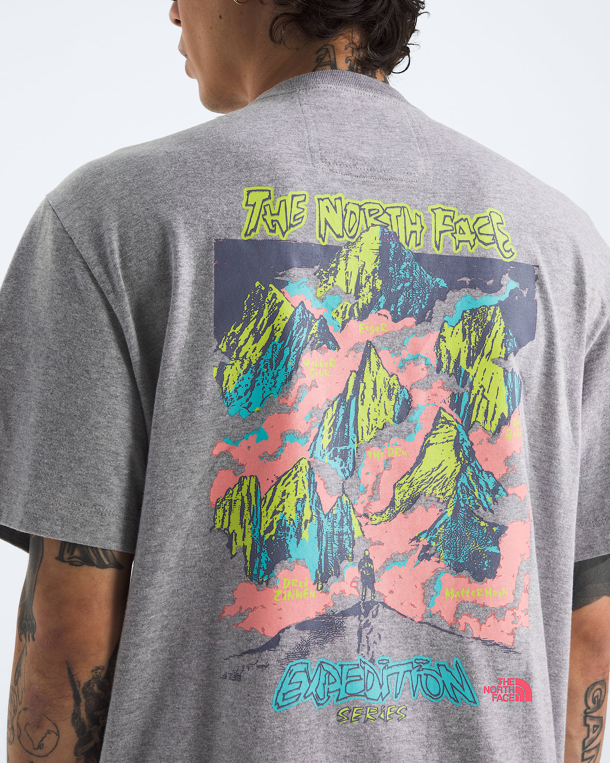 Mens TNF Essential Expedition Series ShortSleeve TeeGraphic TNF HERO2