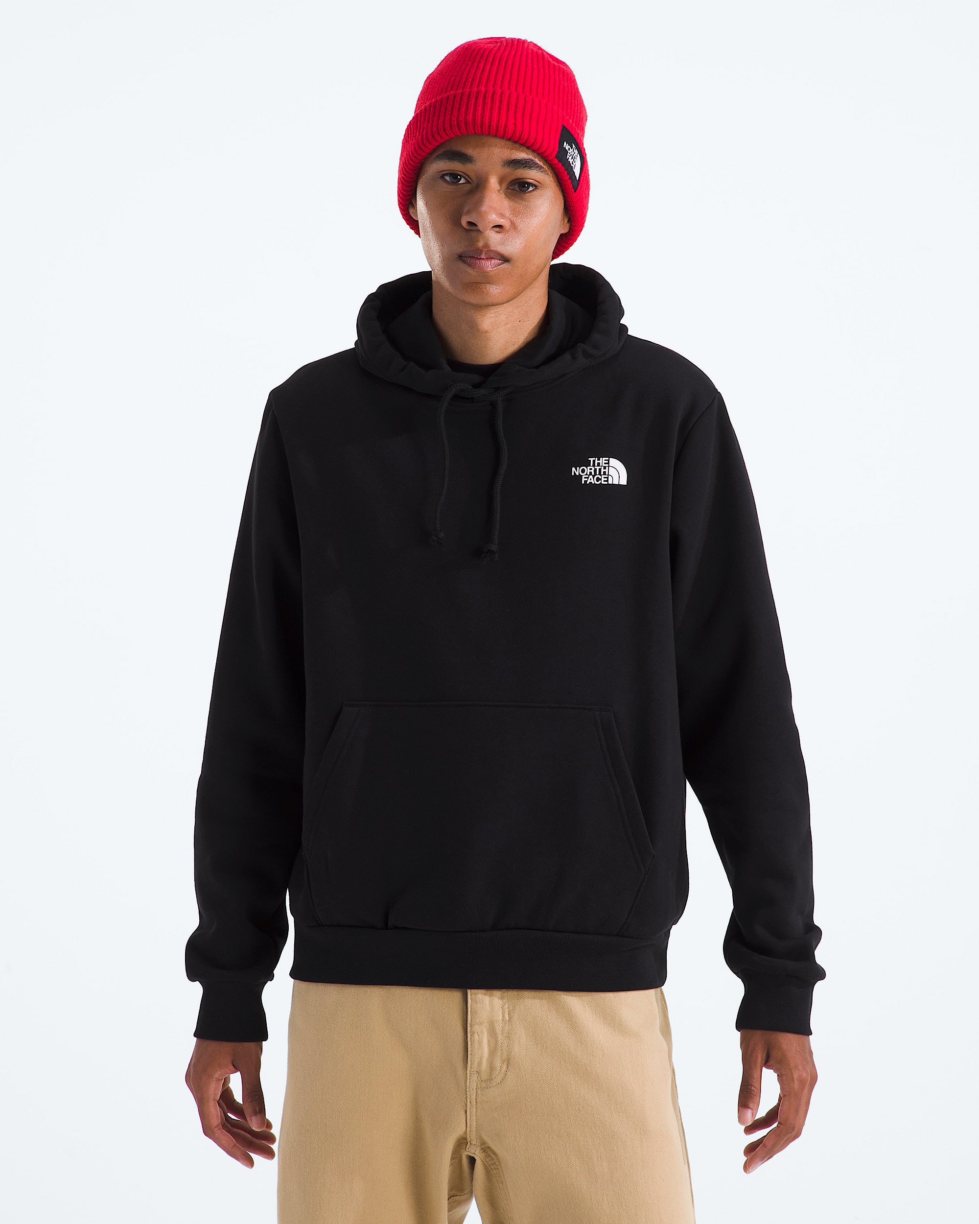 Mens Evolution Van Life HoodieGraphic TNF BACK