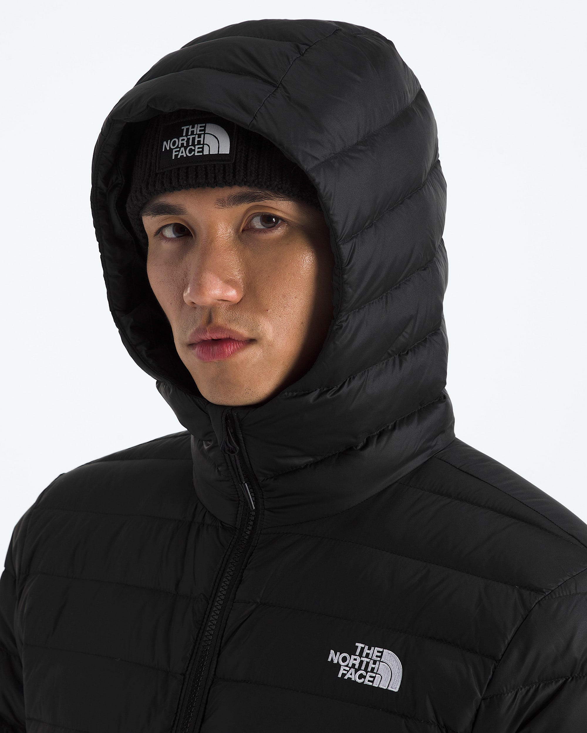 Manteau  capuchon en duvet classique pour hommes TNF MODELHOOD2