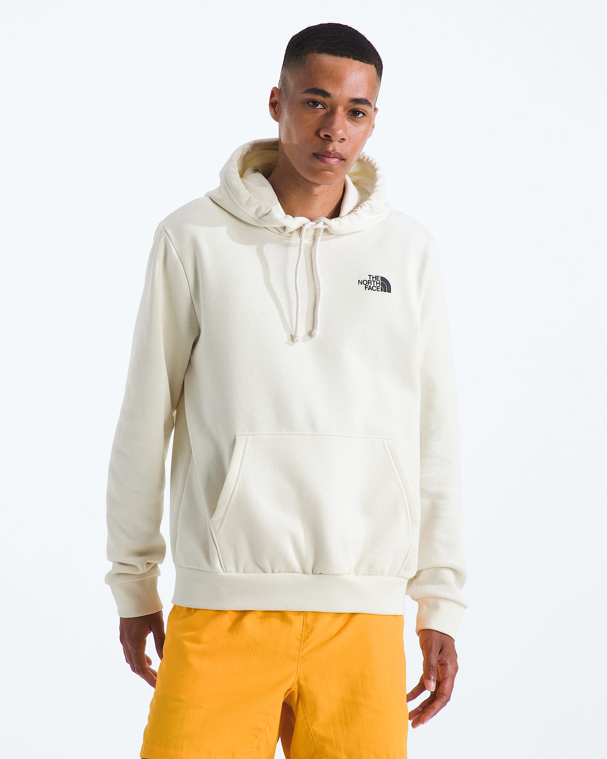 Mens Evolution Van Life HoodieGraphic TNF BACK
