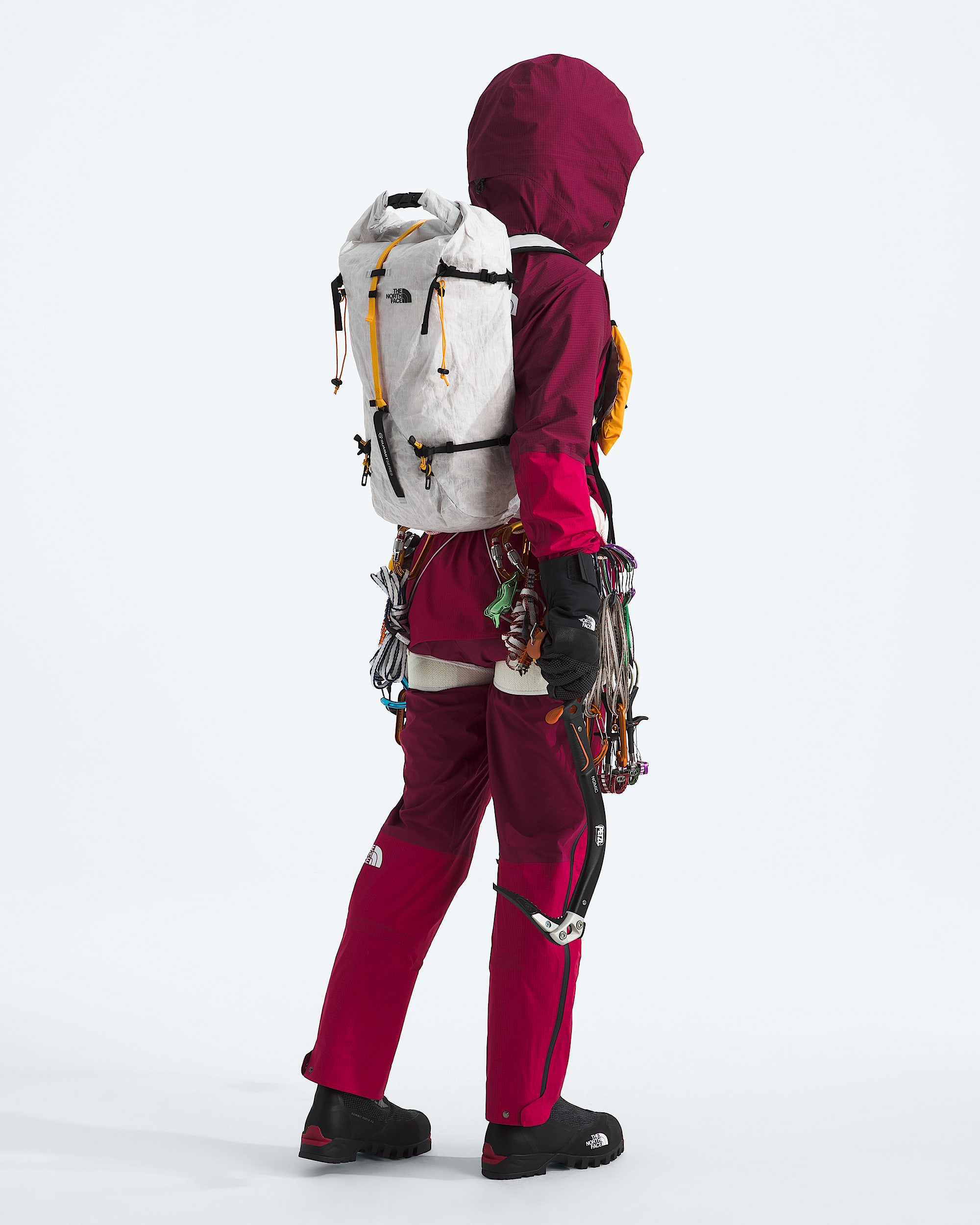 Summit Series Advanced Mountain Kit 25L Pack TNF ALT1
