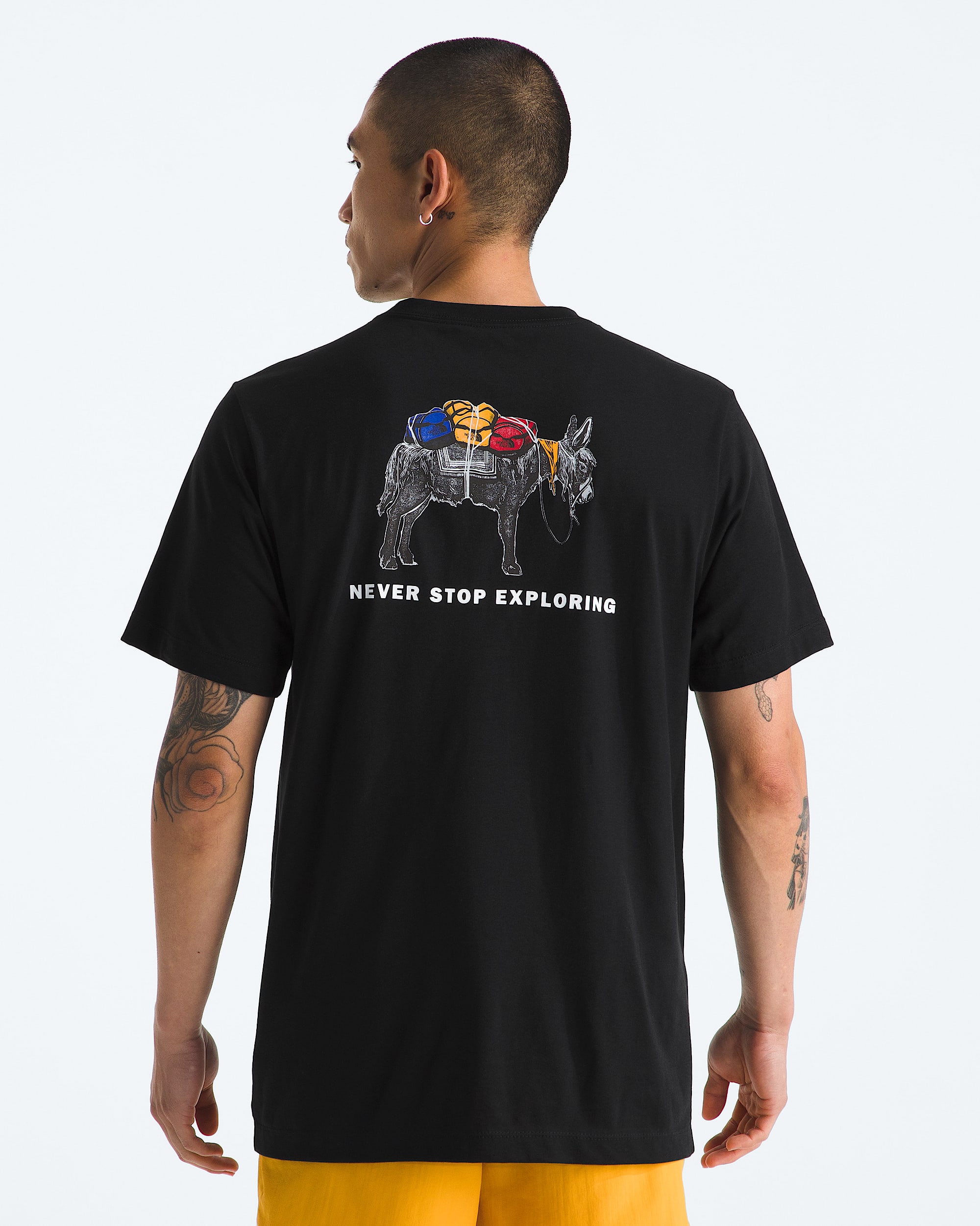 Men's Evolution Pack Short-Sleeve Tee—Graphic | The North Face