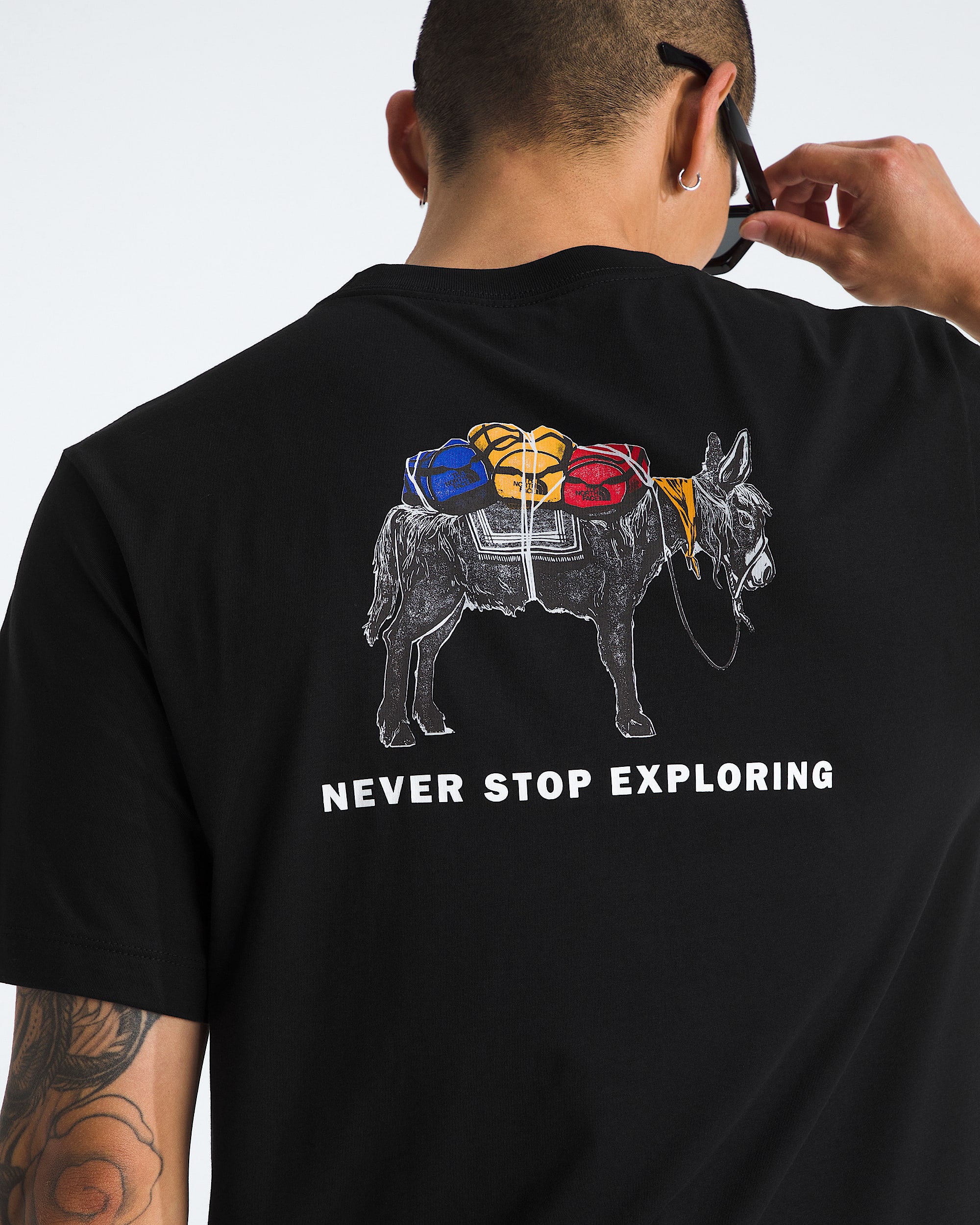 Men's Evolution Pack Short-Sleeve Tee—Graphic | The North Face