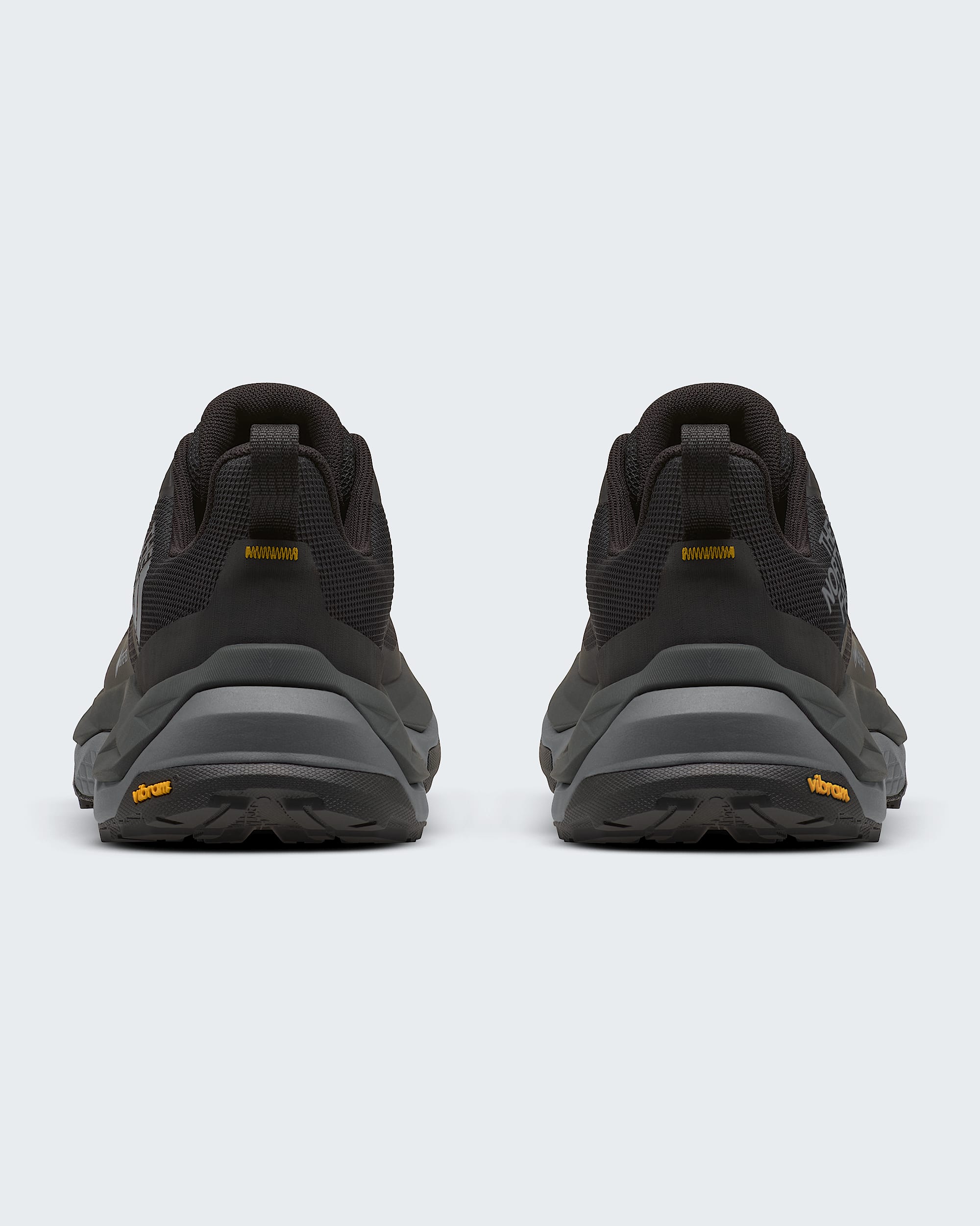 Chaussures Fastpack Ultra GORETEX pour hommes TNF BACK