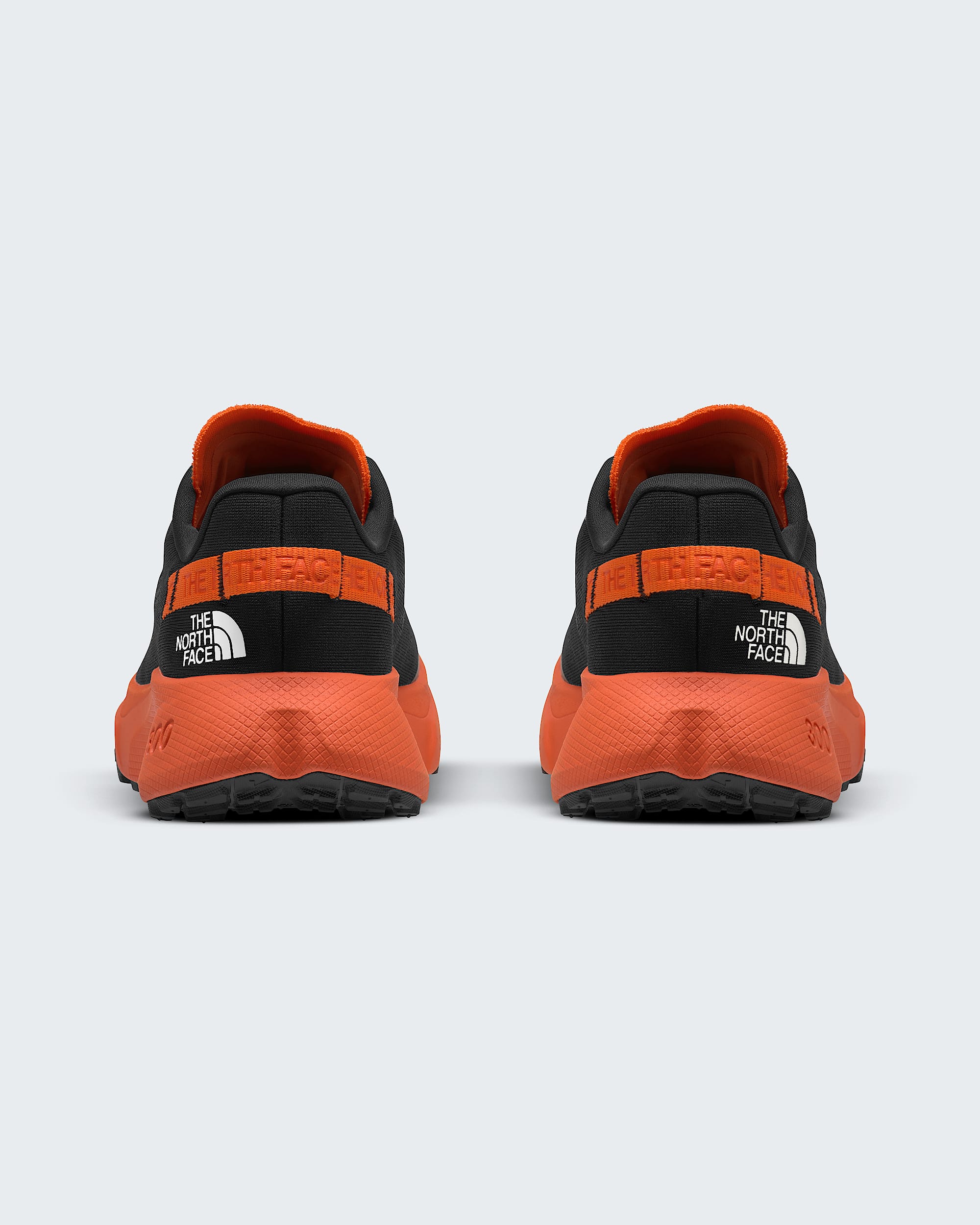 Mens Altamesa 300 Shoes TNF BACK