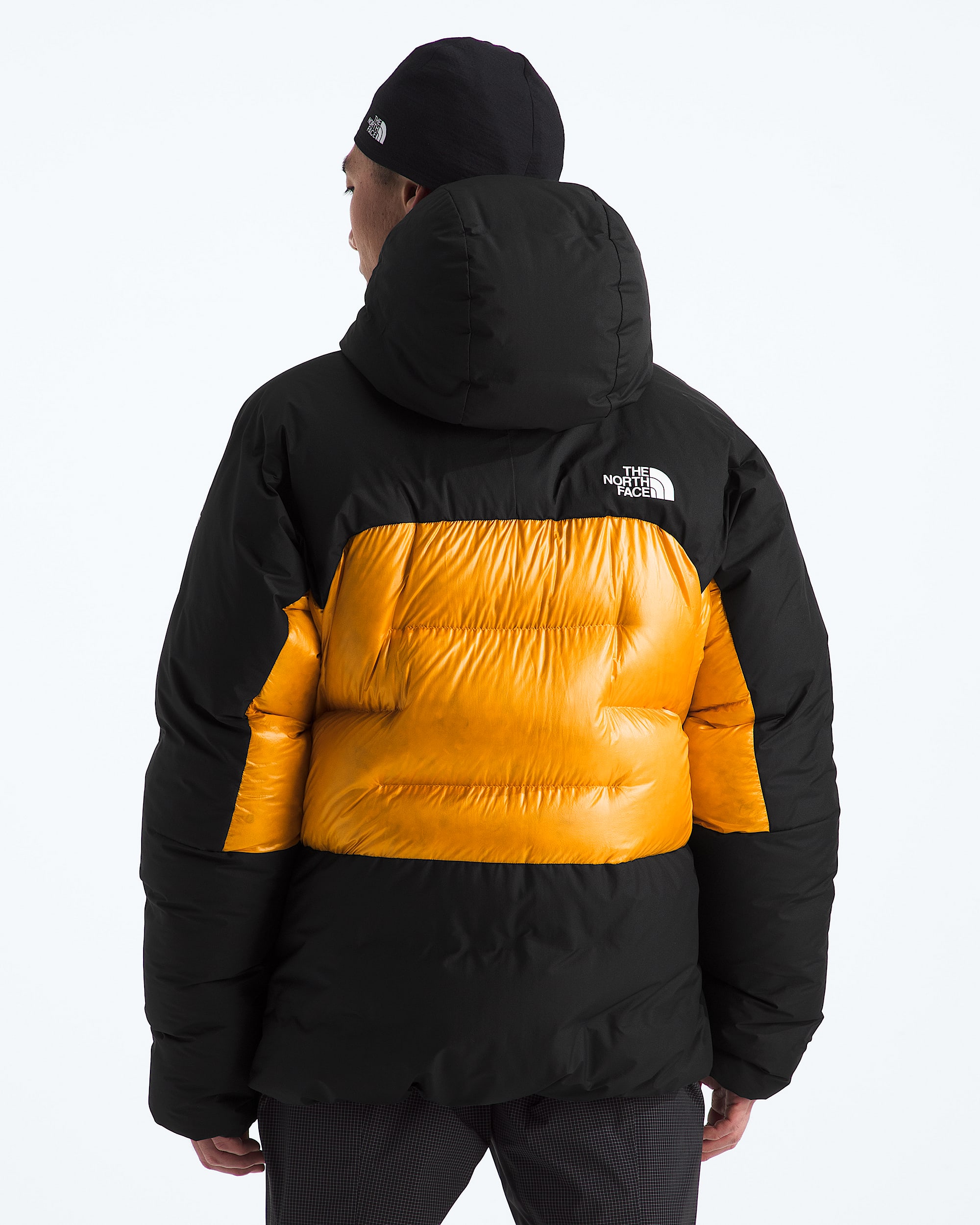 Mens Summit Series Himalayan Down Parka TNF BACK