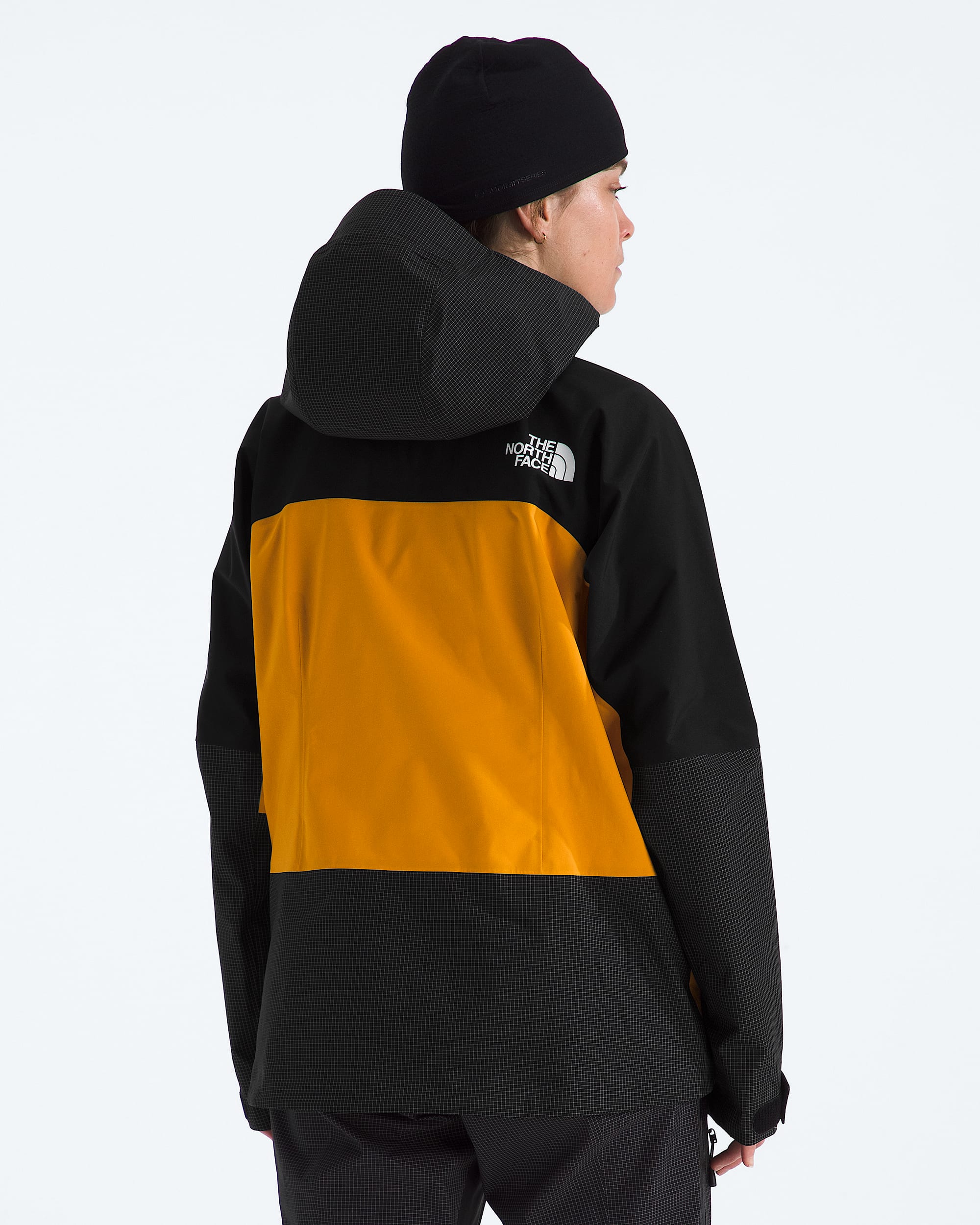 Womens Summit Mountain GTX Pro Jacket TNF BACK