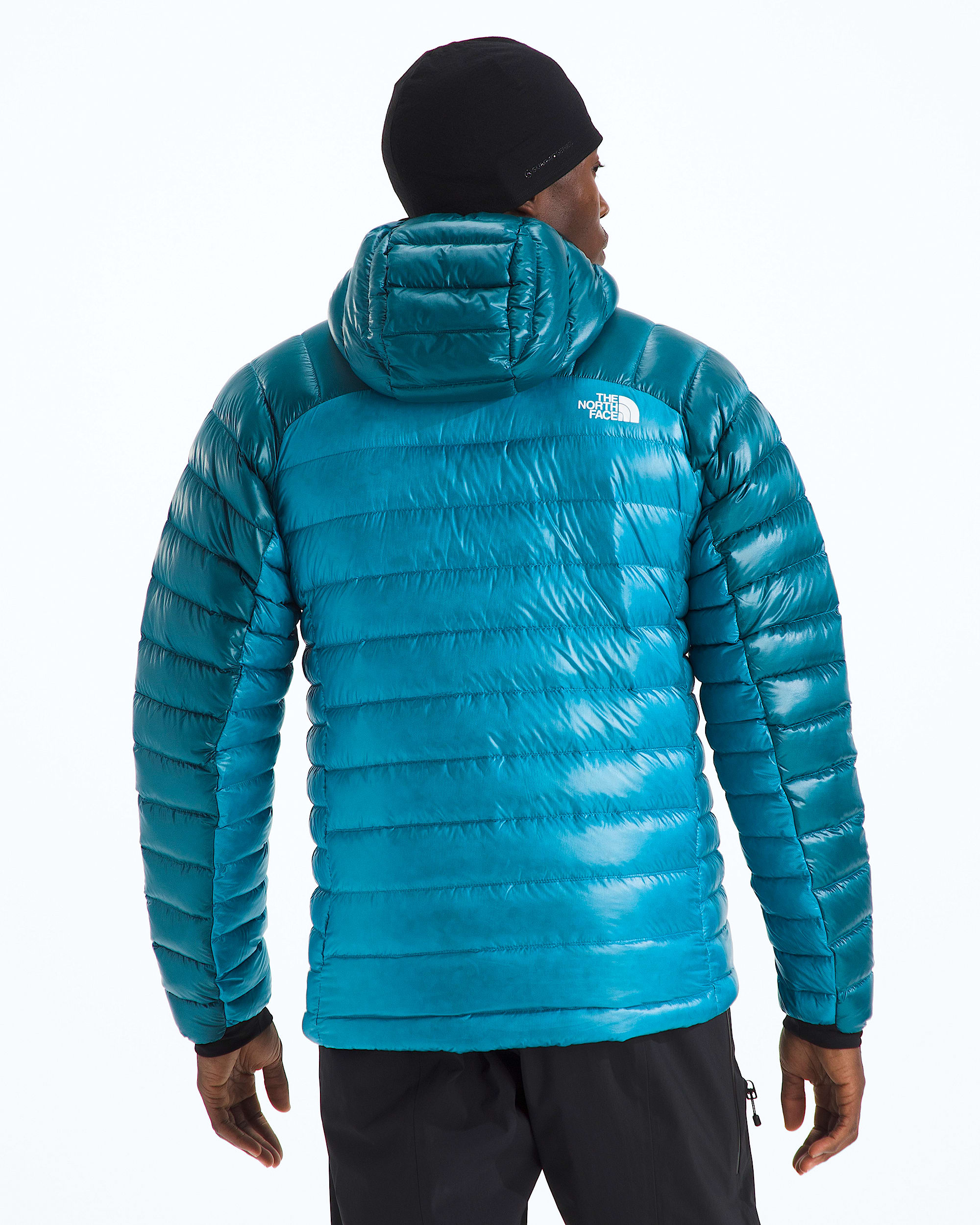 Mens Summit Series Breithorn Hoodie TNF BACK