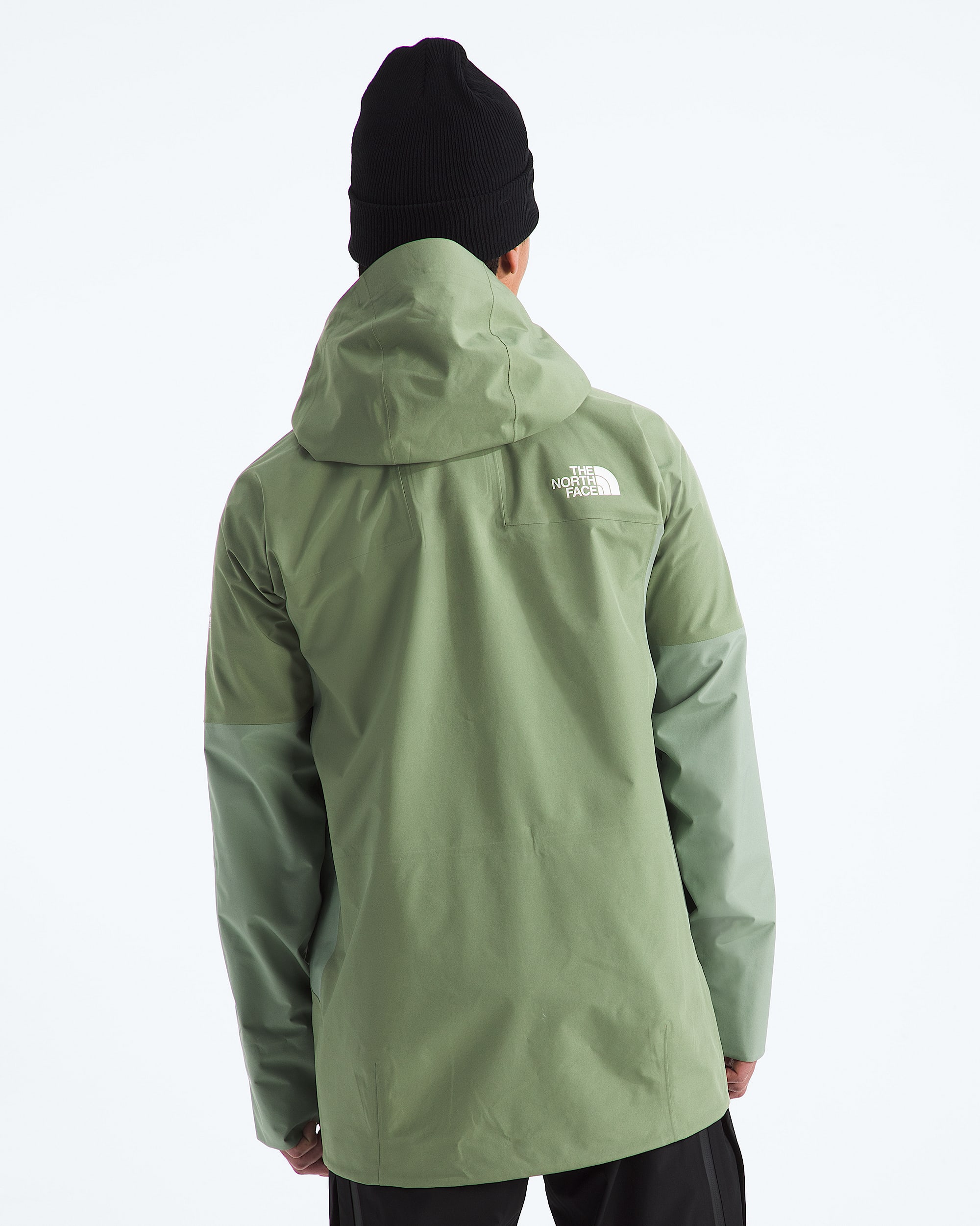Mens Summit Series Eastwall GORETEX Jacket TNF BACK