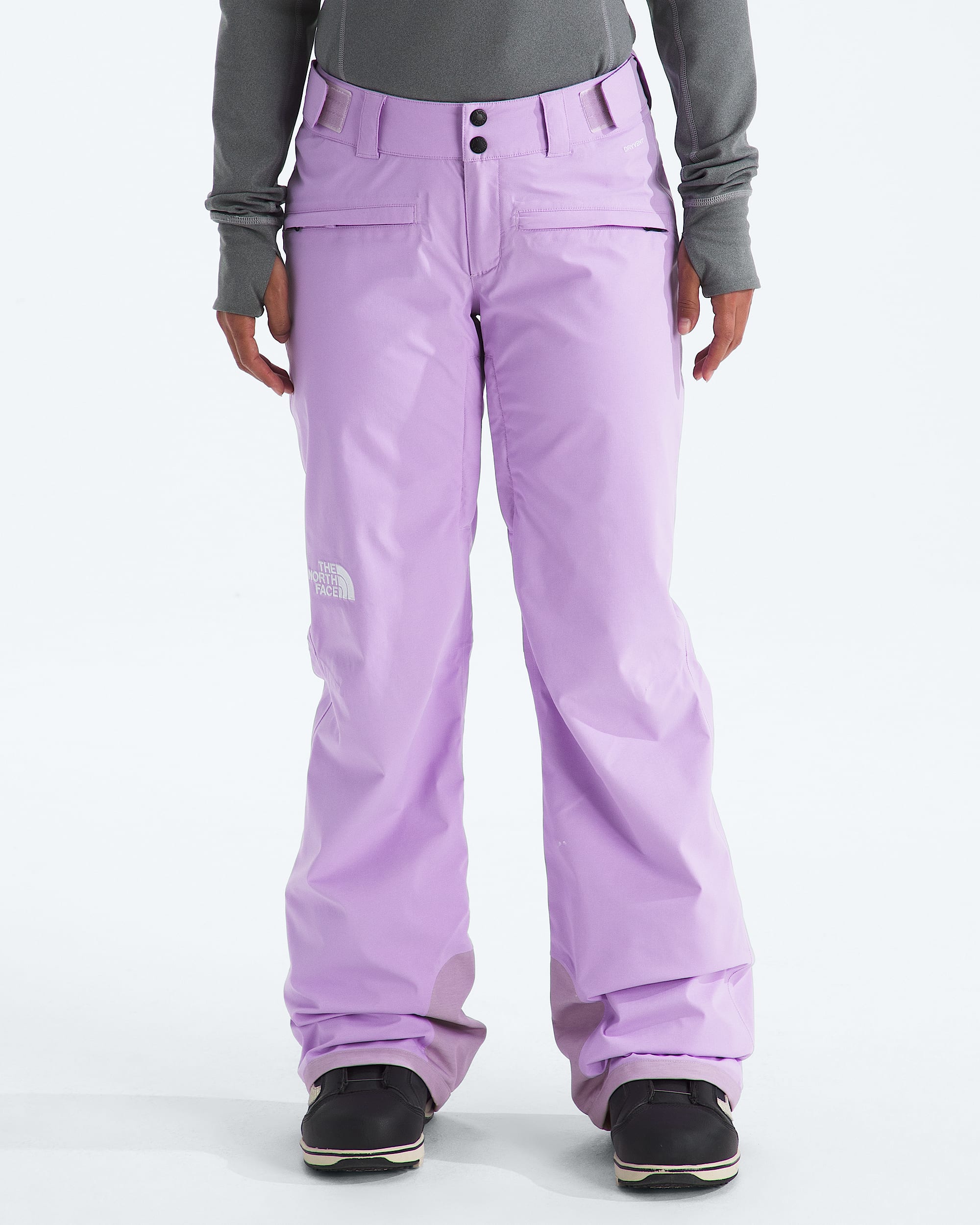 Womens Freedom Stretch Pants TNF Main