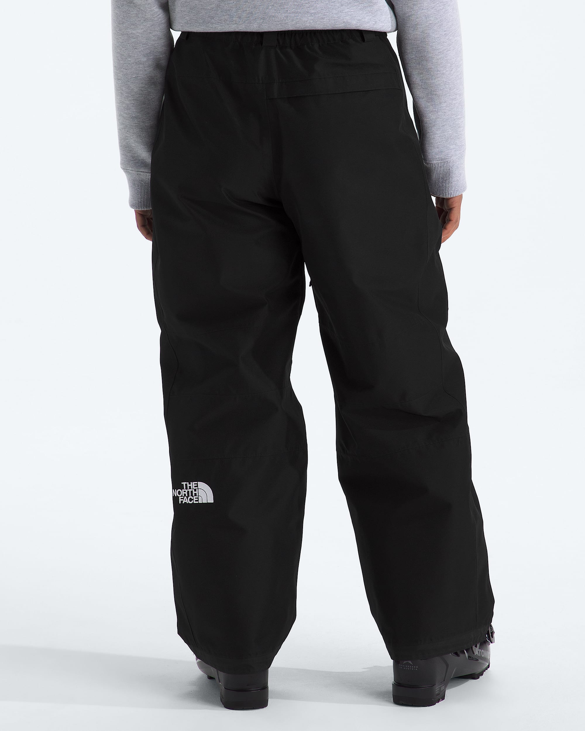 Womens GORETEX Hex Pants TNF BACK
