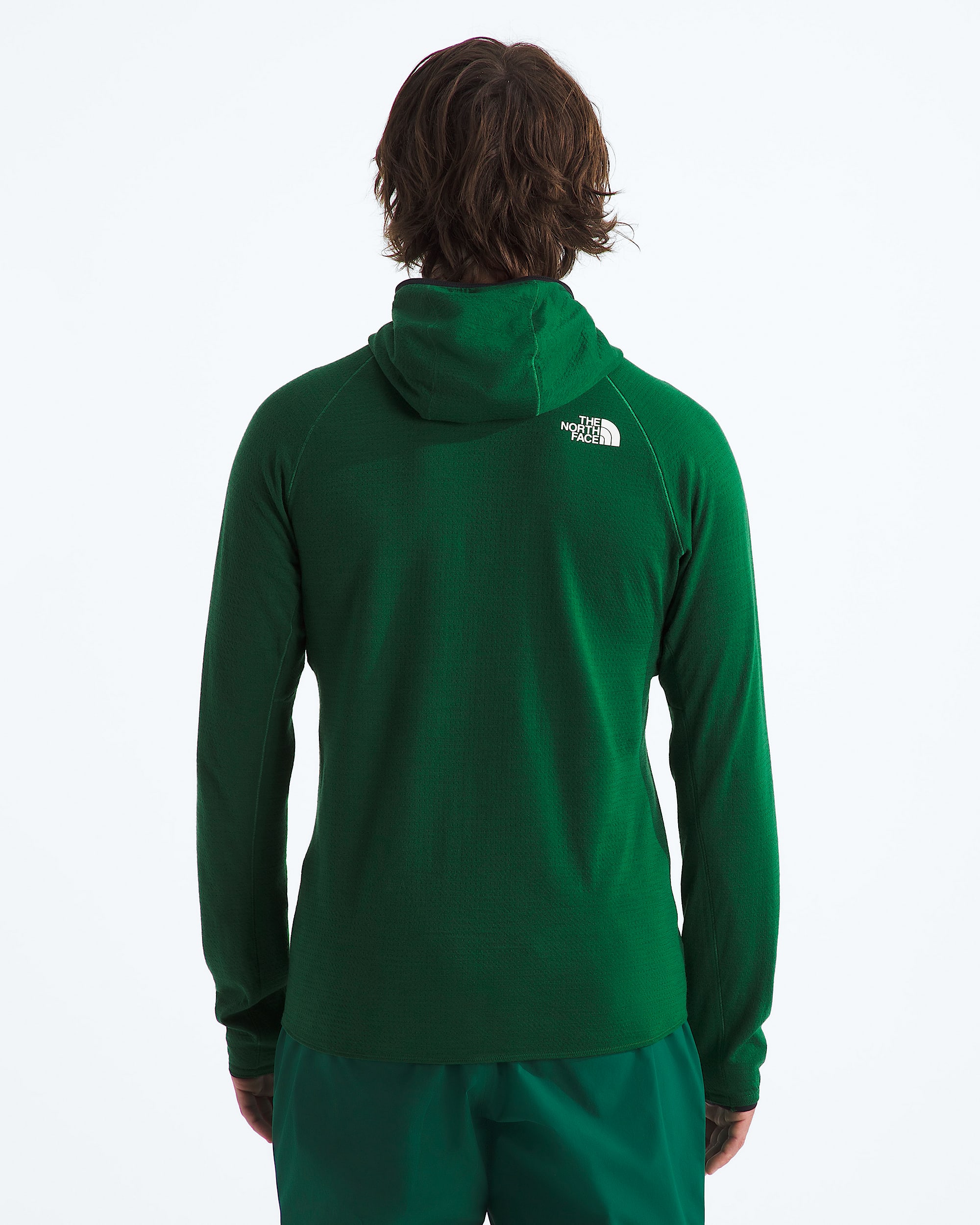 Mens Summit Series DOTKNIT AMK Hoodie TNF BACK