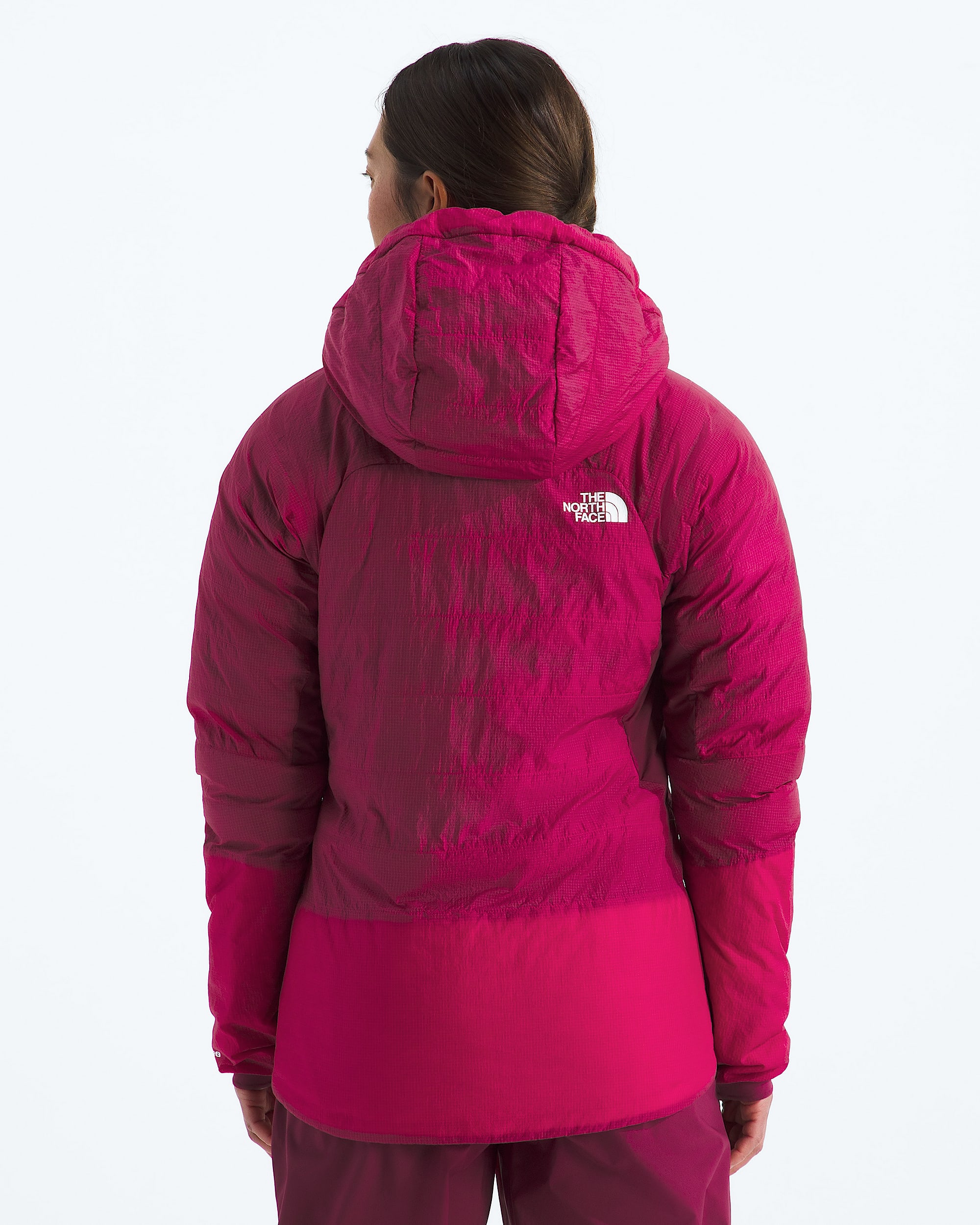 Womens Summit Series 5050 AMK Hoodie TNF BACK