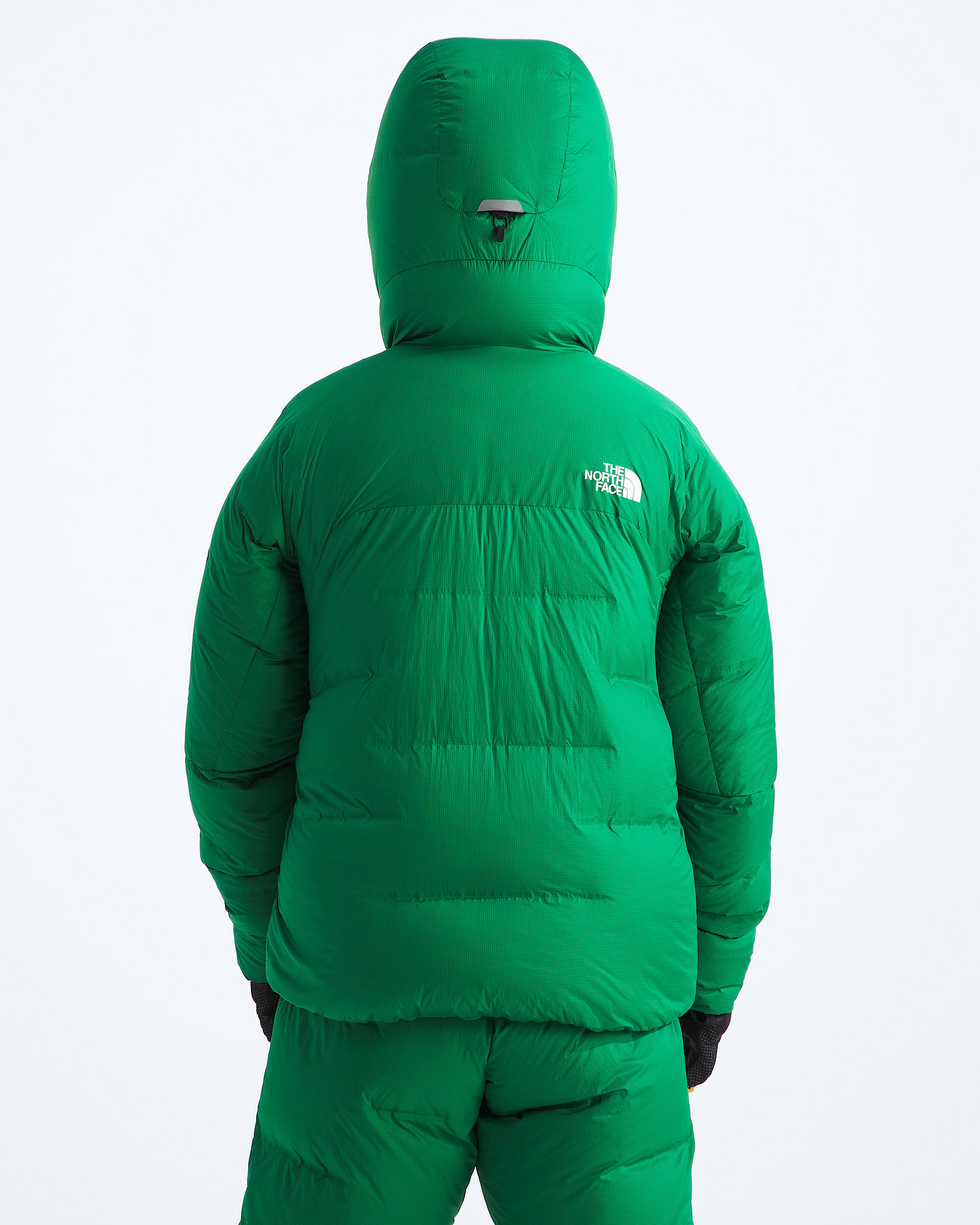 Mens Summit CLOUD DOWN AMK Parka TNF BACK