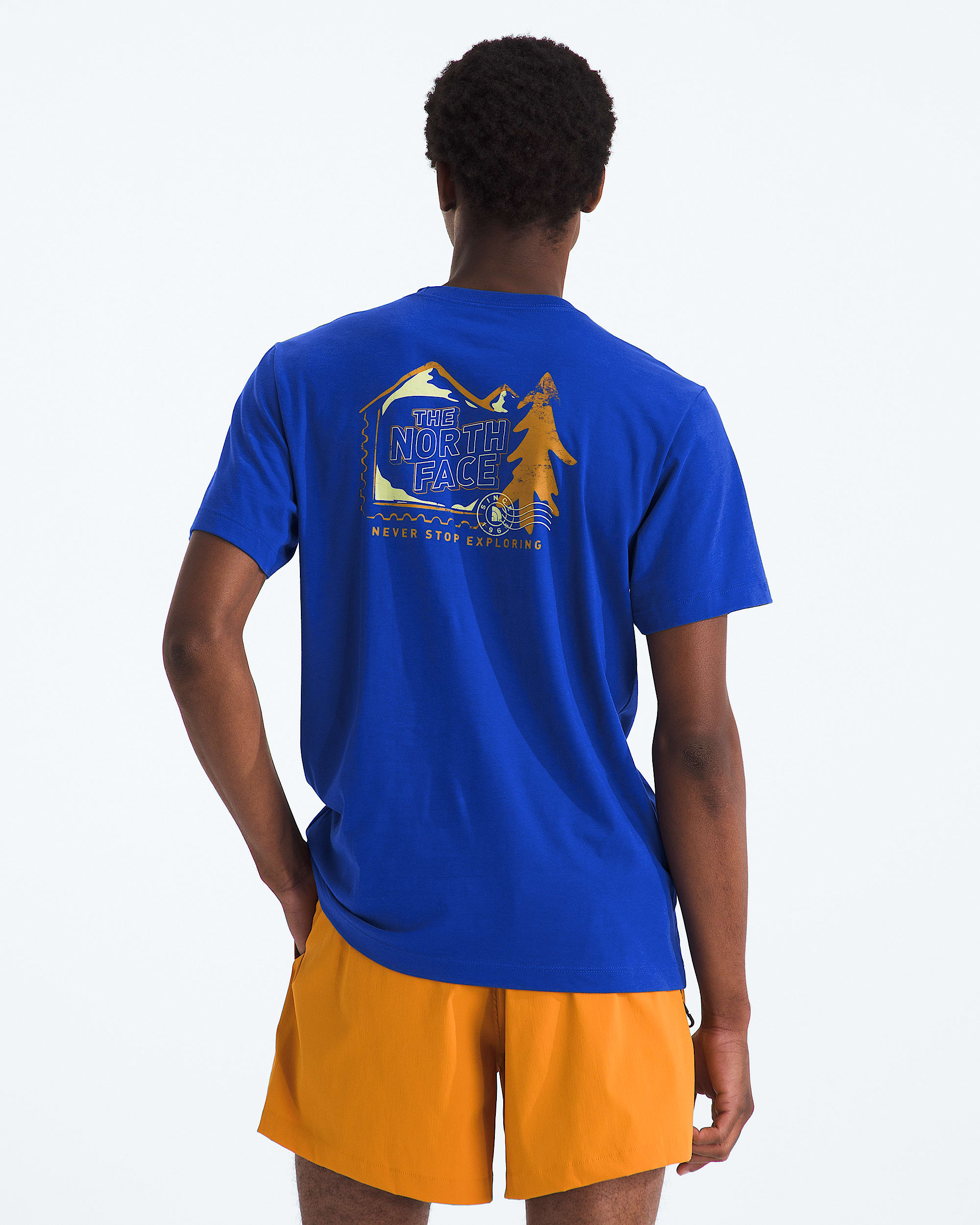 Mens Mountain Stamps Regular ShortSleeve Tee TNF Main