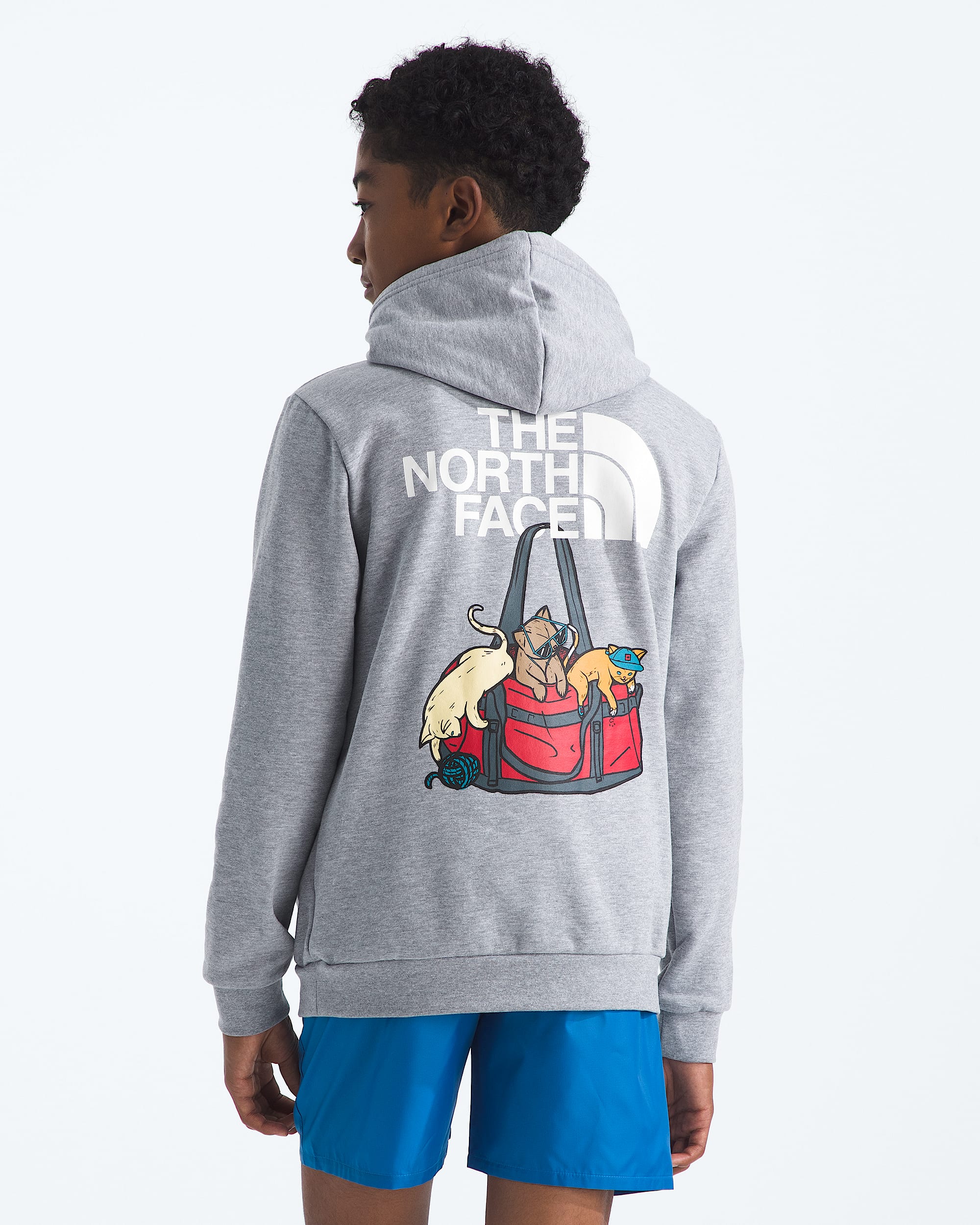Boys  Girls Ember Fade Regular Hoodie TNF HERO2
