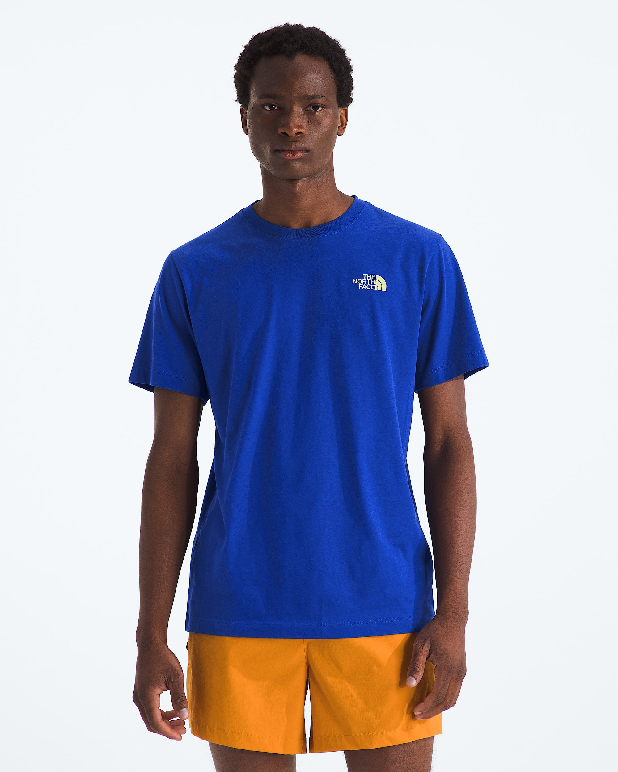 Mens Mountain Stamps Regular ShortSleeve Tee TNF BACK