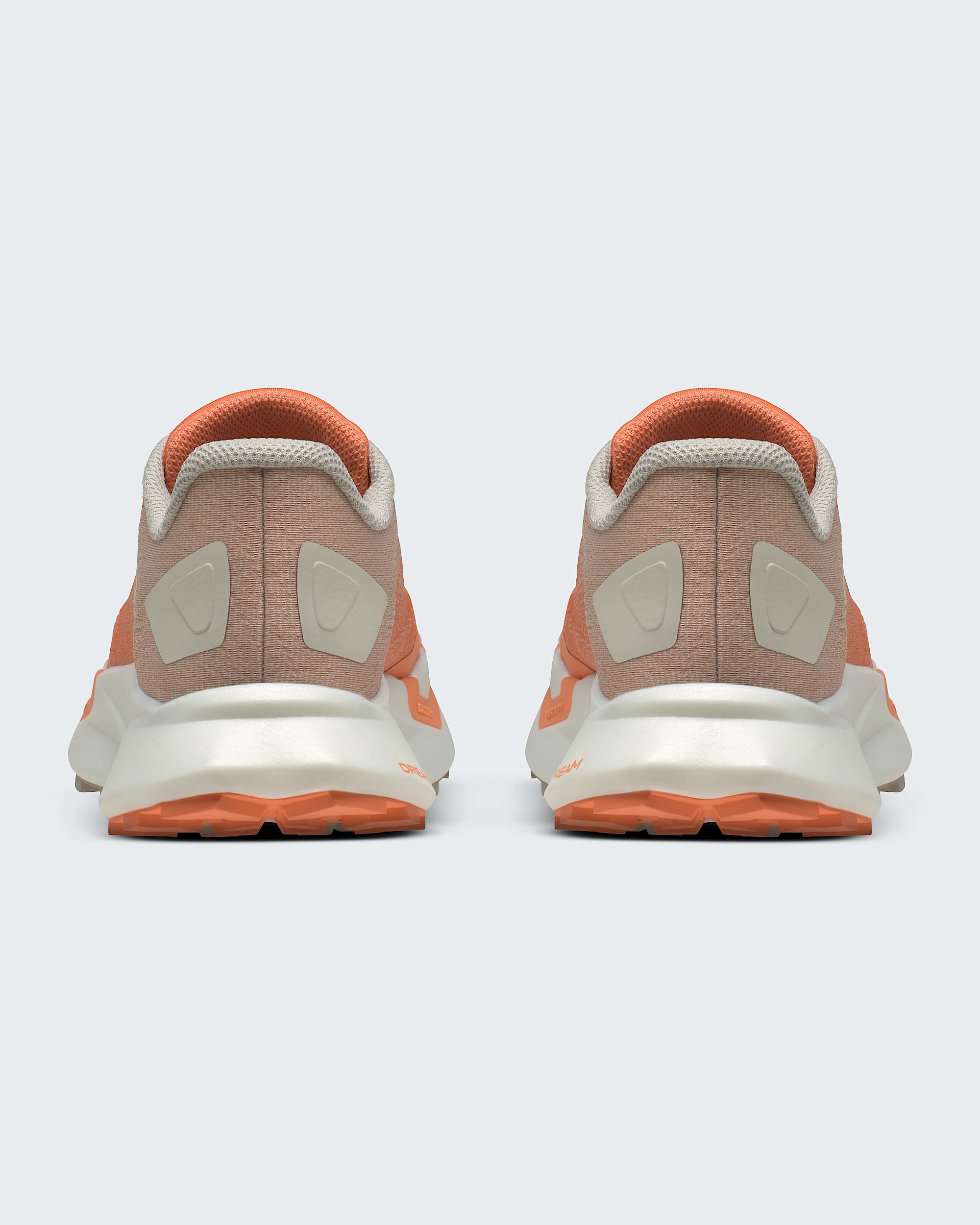 Chaussures VECTIV Enduris 4 pour femmes TNF BACK