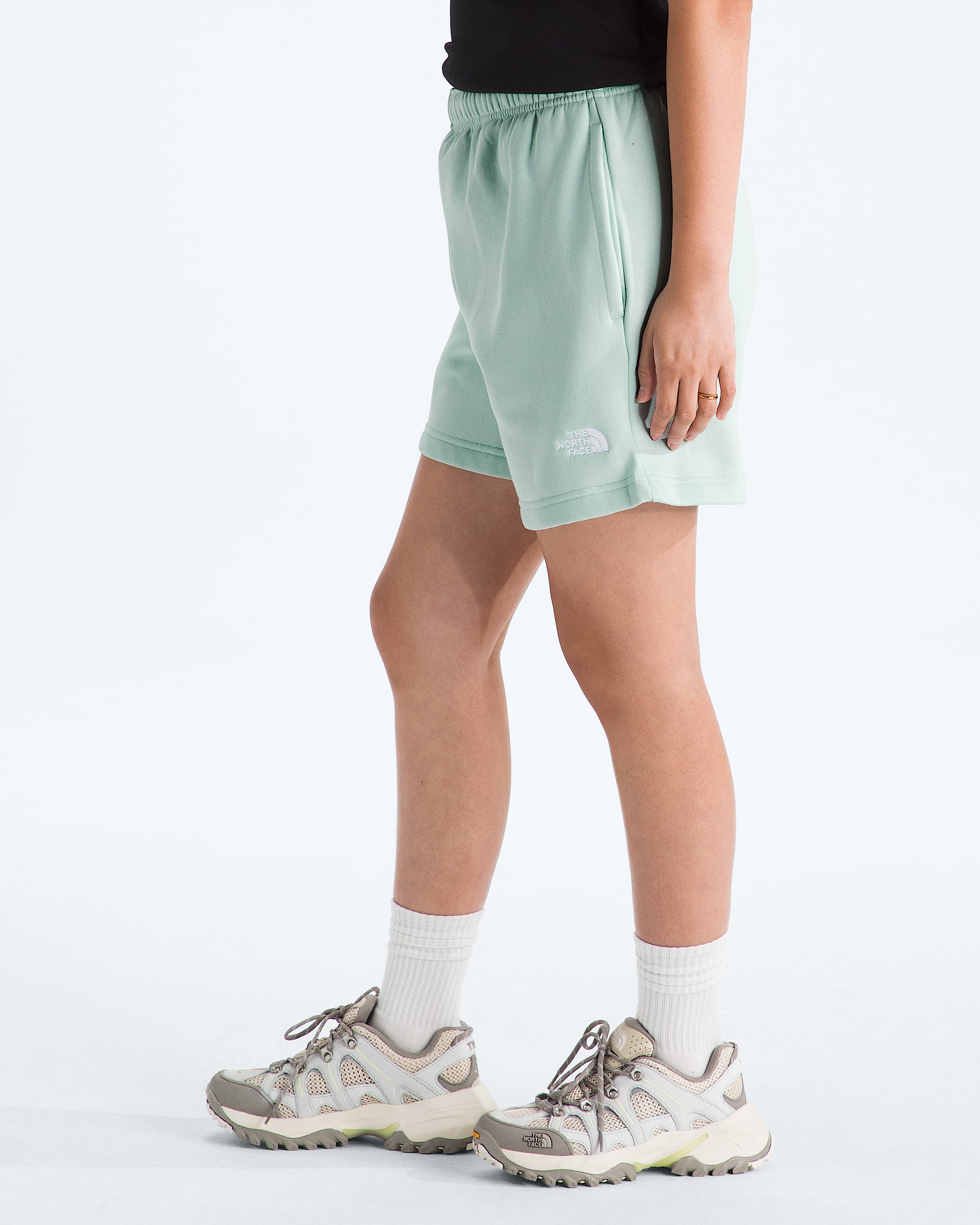 Womens Evolution Simple Dome Regular Shorts TNF MODEL34