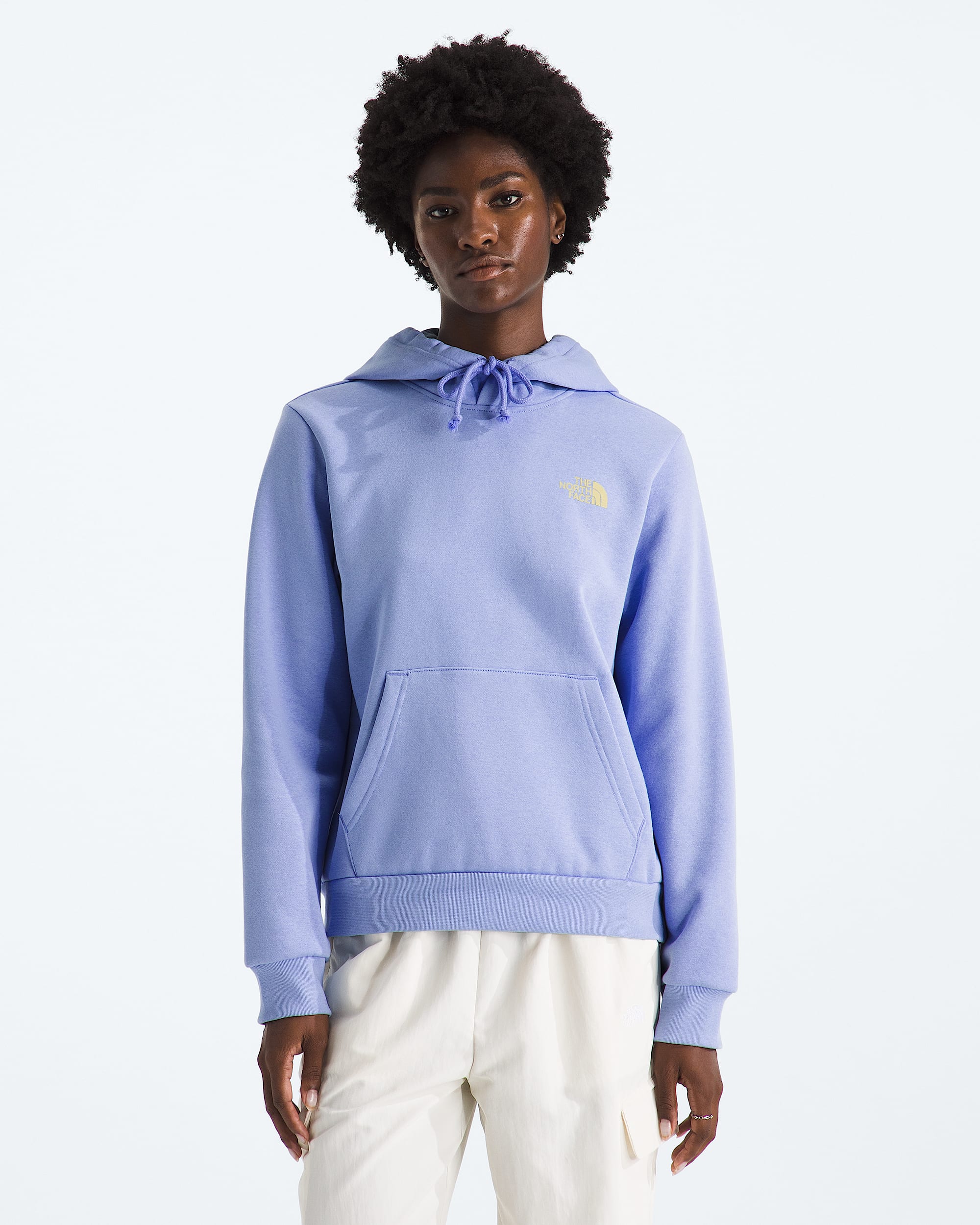 Women's Explore Pin Regular Hoodie | The North Face