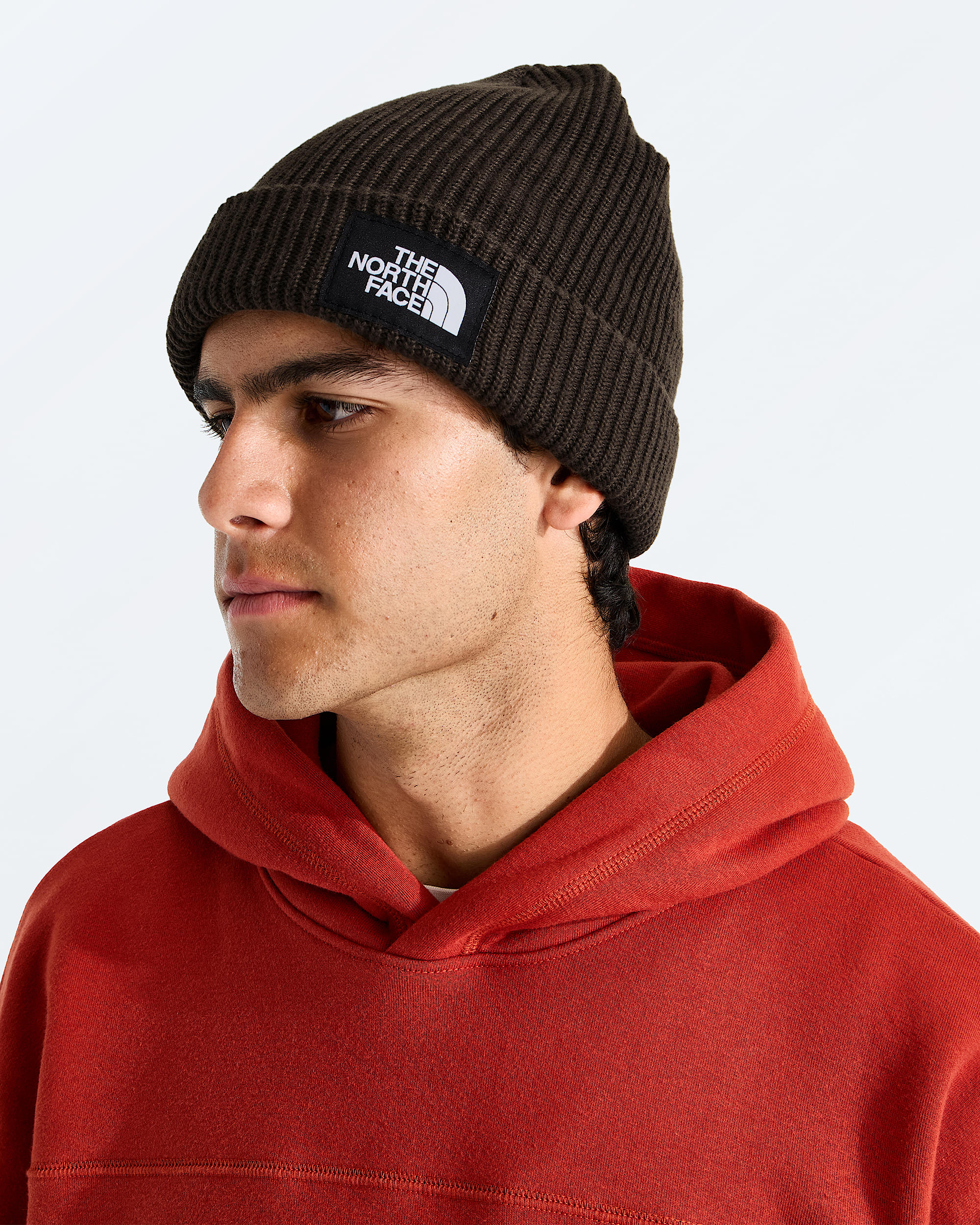 Salty Lined Beanie TNF MODELBACK