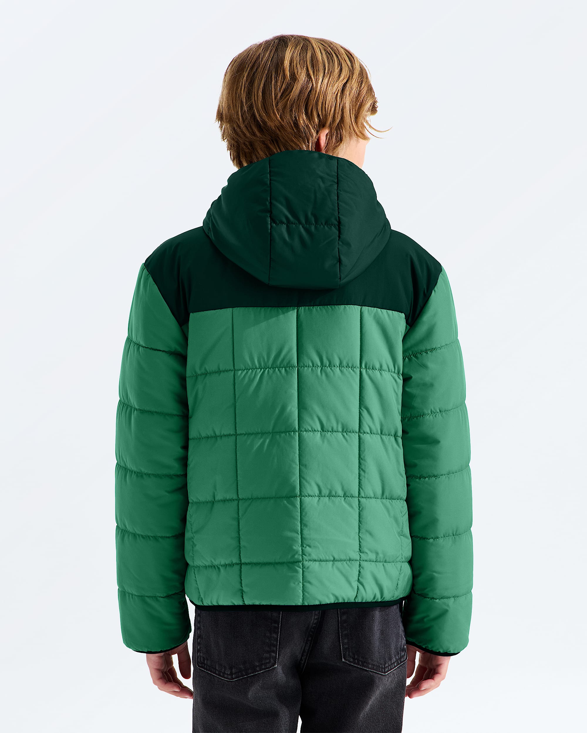 Boys Reversible Shasta FullZip Hooded Jacket TNF BACK