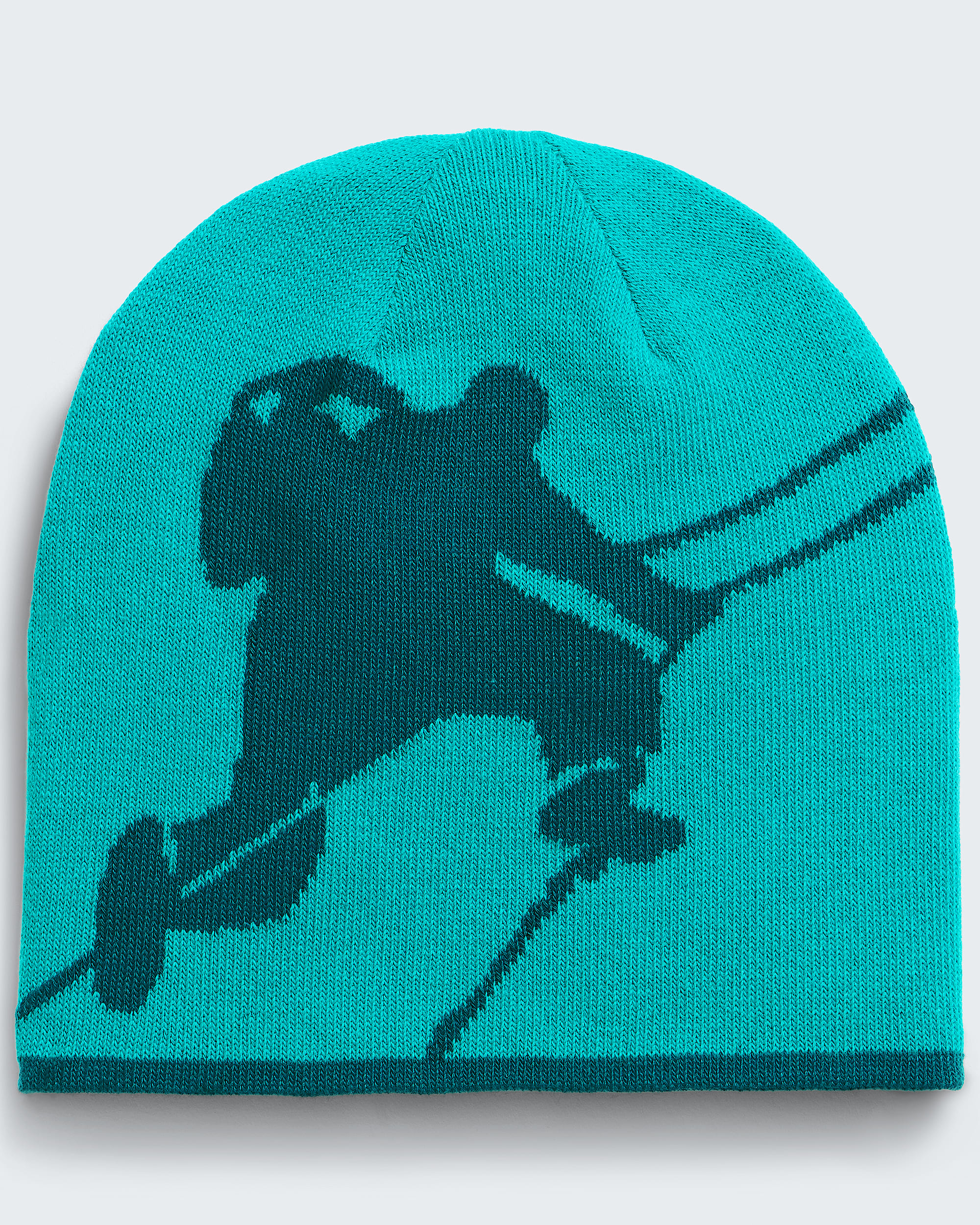 Reversible Highline Beanie TNF HEROREV