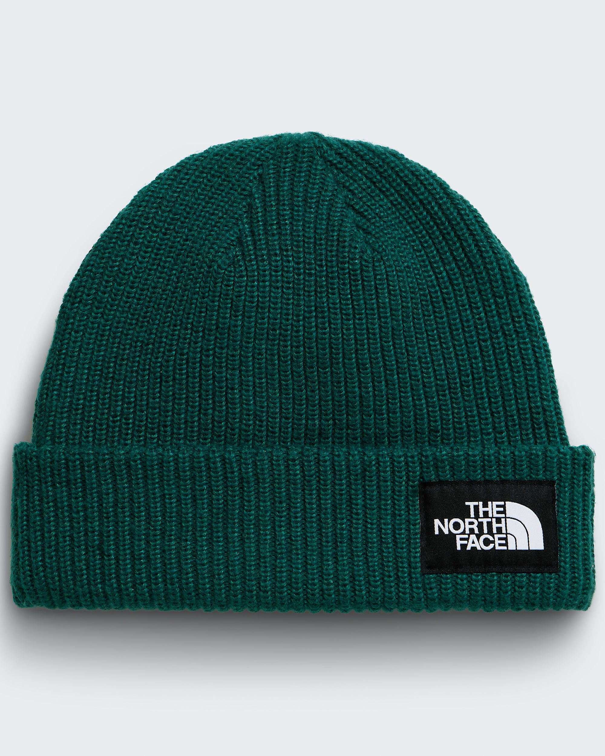 Salty Lined Beanie TNF HERO