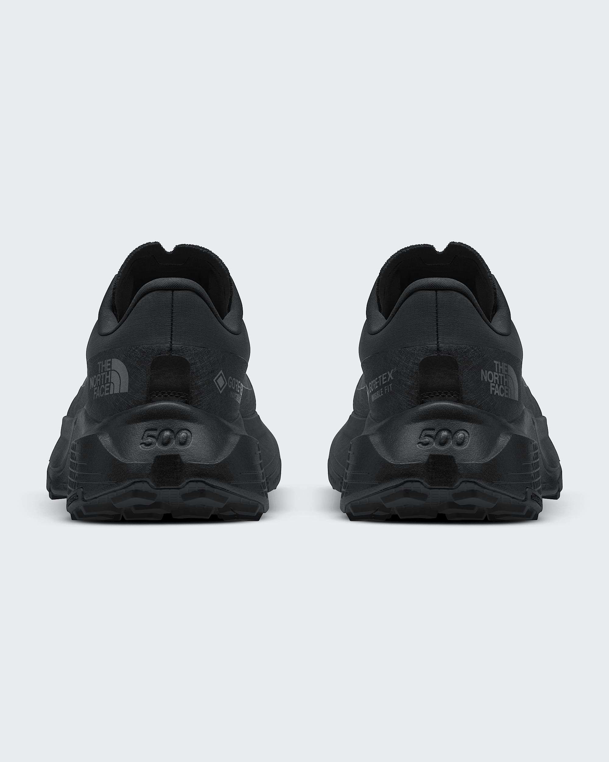 Womens Altamesa 500 V2 GORETEX Shoes TNF BACK