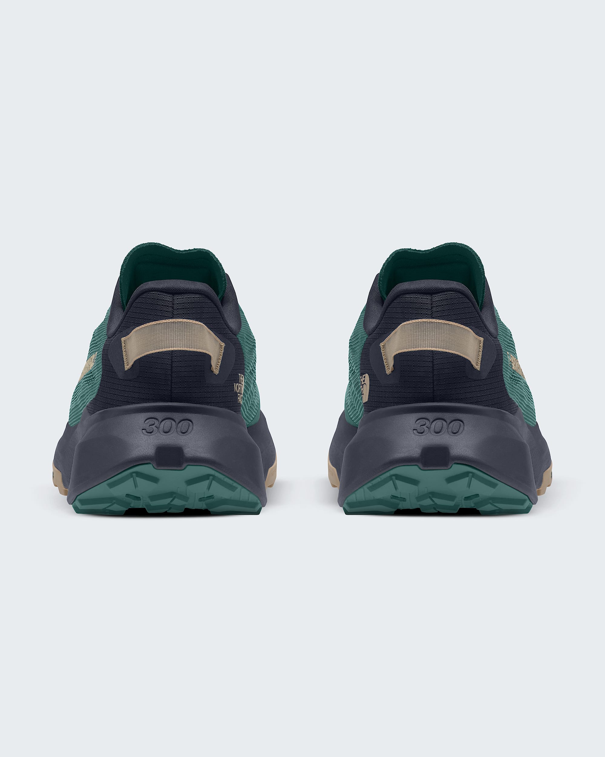 Men's Altamesa 300 V2 Shoes | The North Face