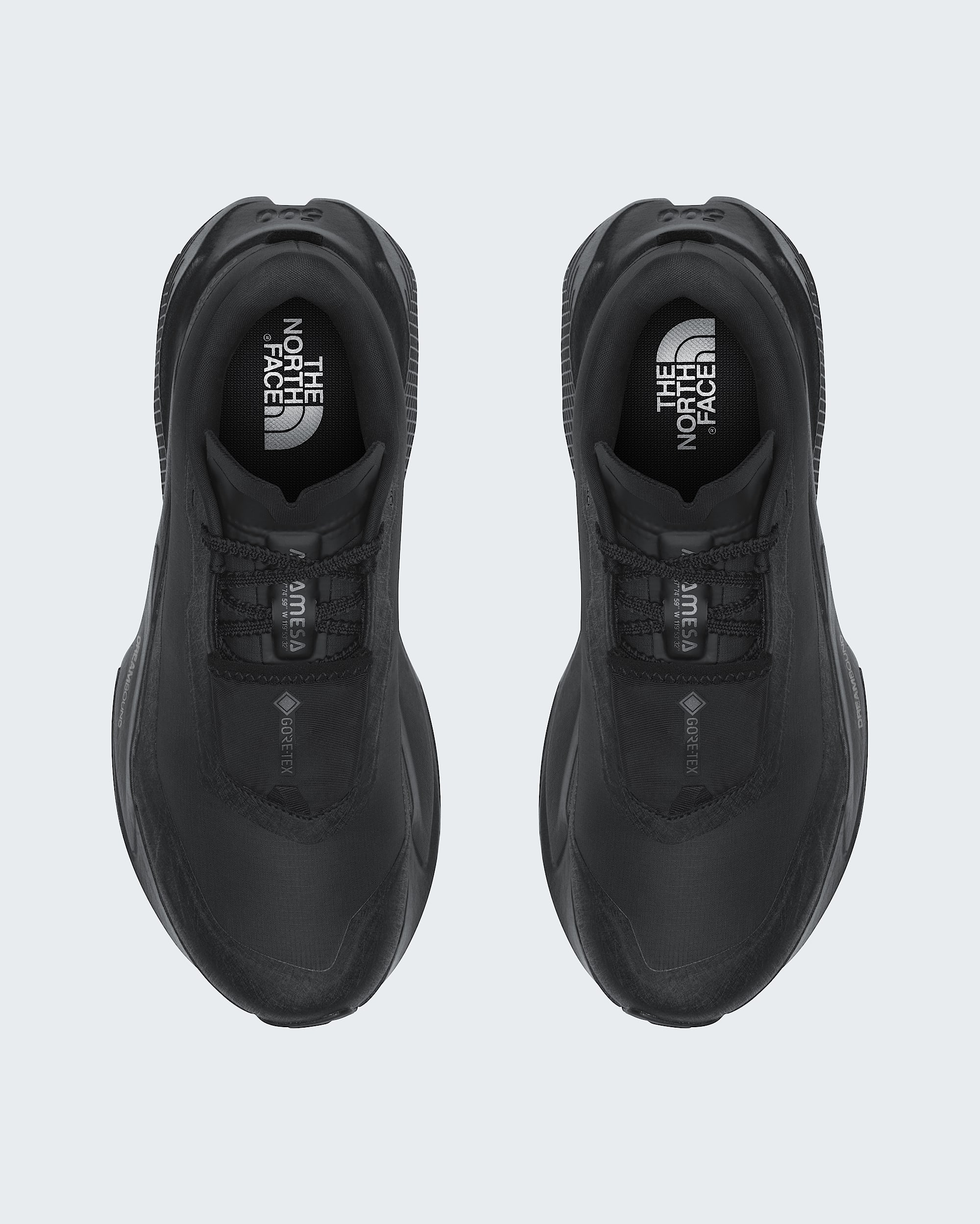 Mens Altamesa 500 V2 GORETEX Shoes TNF DETAILINSTEP