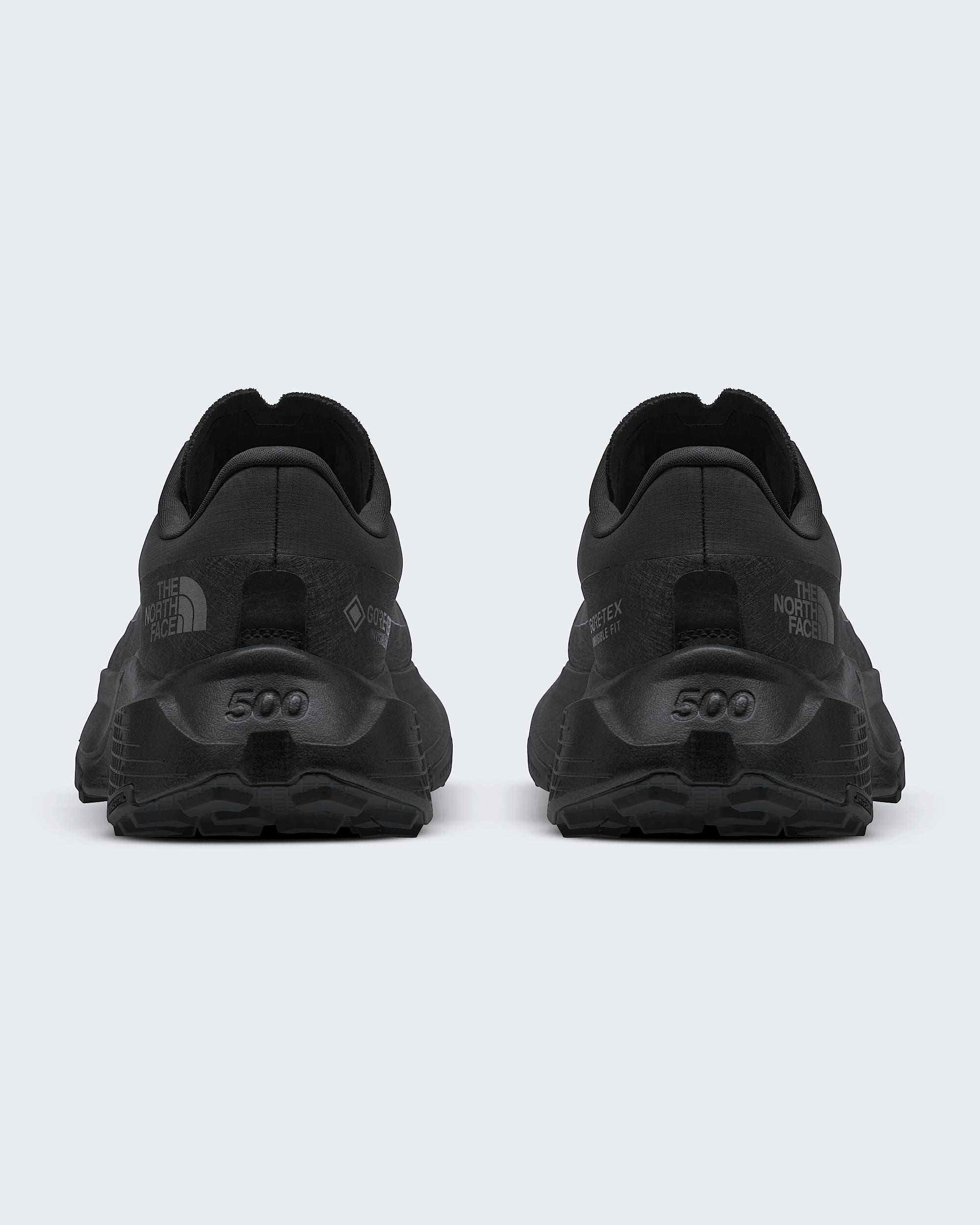 Mens Altamesa 500 V2 GORETEX Shoes TNF BACK