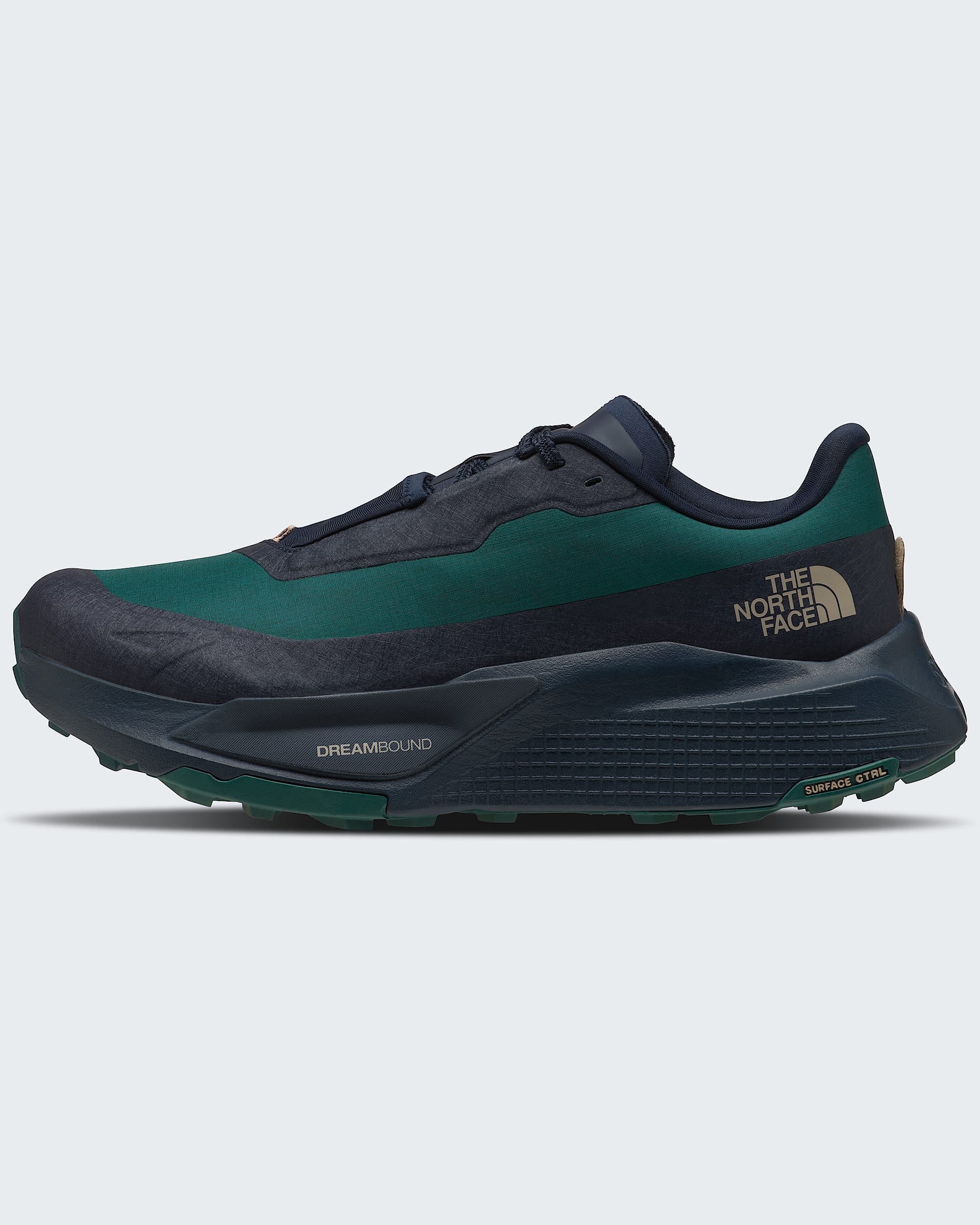 Chaussures Altamesa 500 V2 GORETEX pour hommes TNF HERO