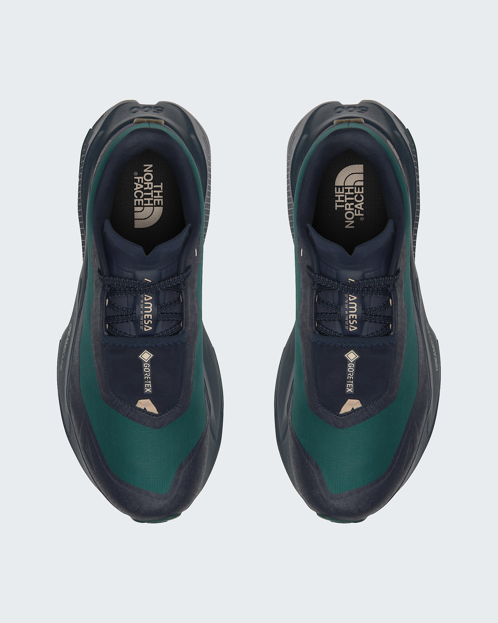 Chaussures Altamesa 500 V2 GORETEX pour hommes TNF DETAILINSTEP