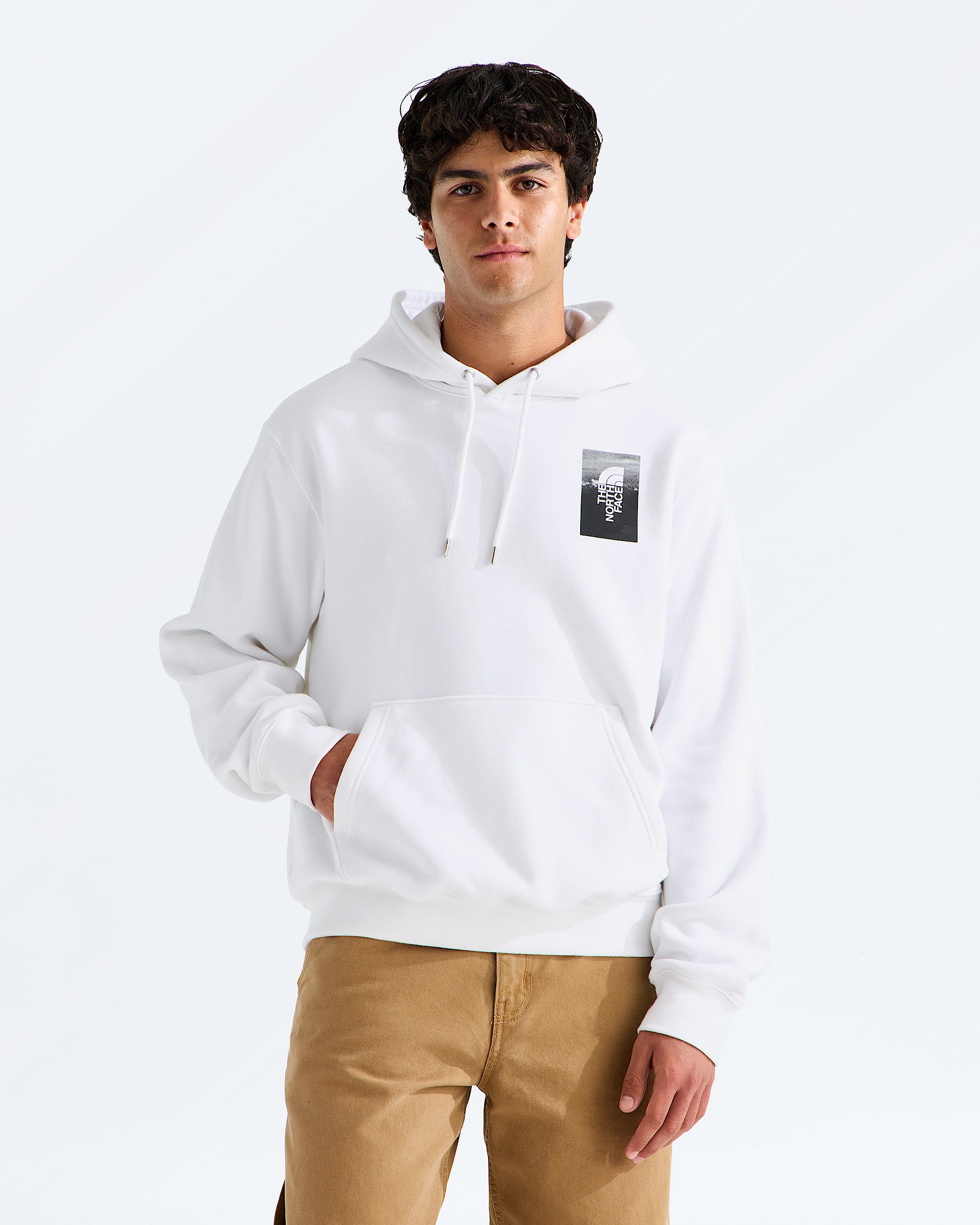 Mens Apex 75 Collage Relaxed Hoodie TNF BACK