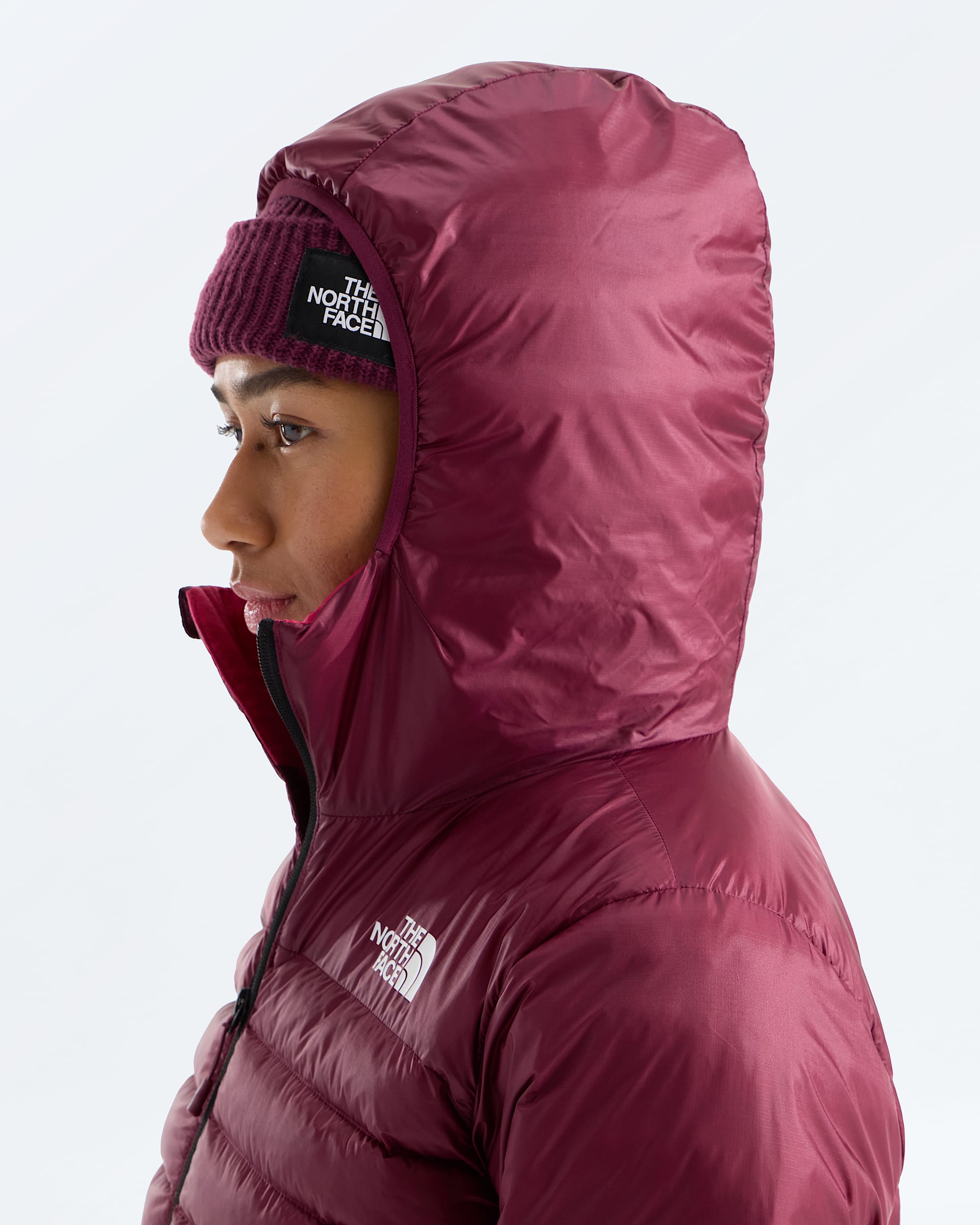 Womens Terra Peak Hoodie TNF MODELHOOD2