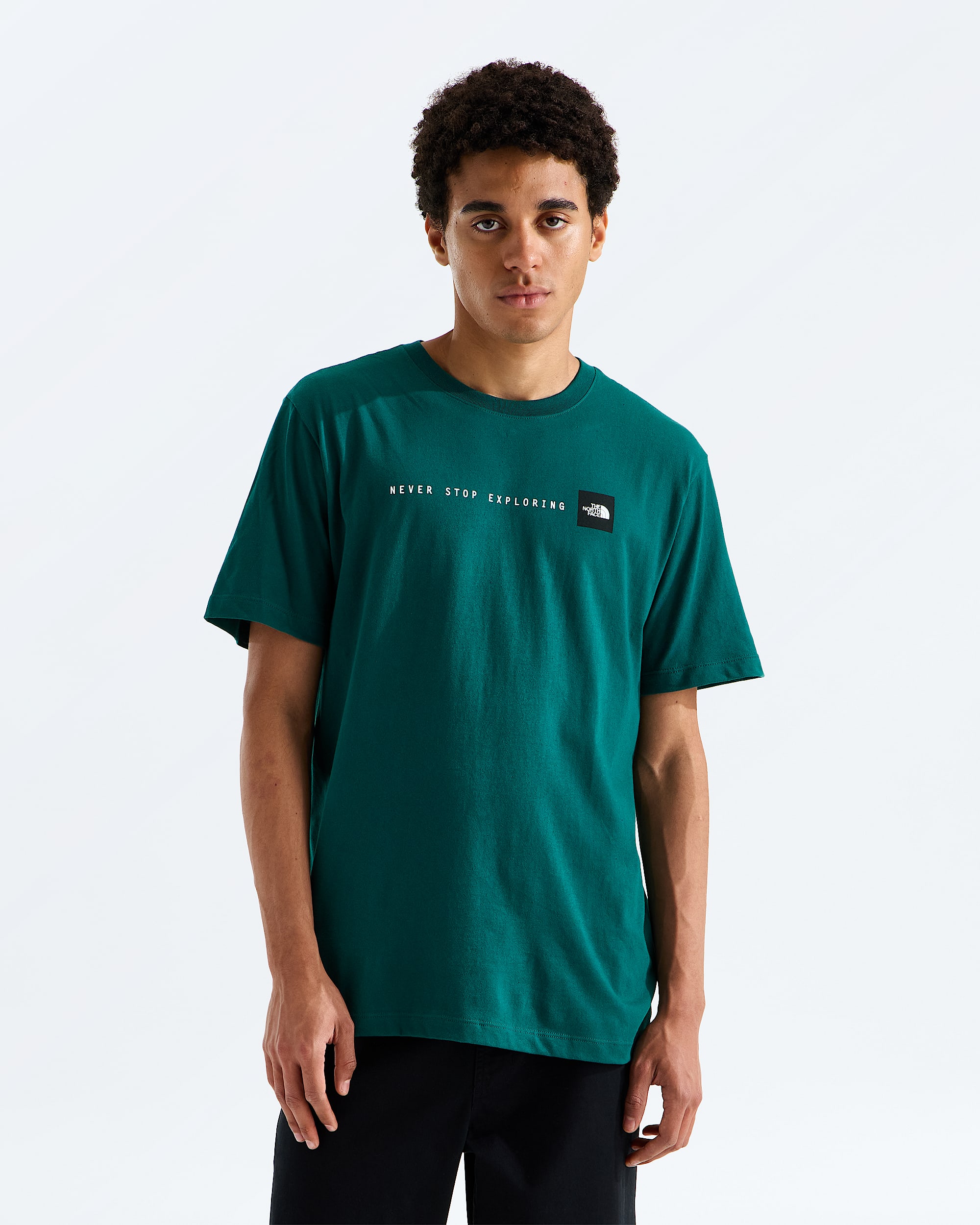 Mens NSE Regular ShortSleeve TeeGraphic TNF Main