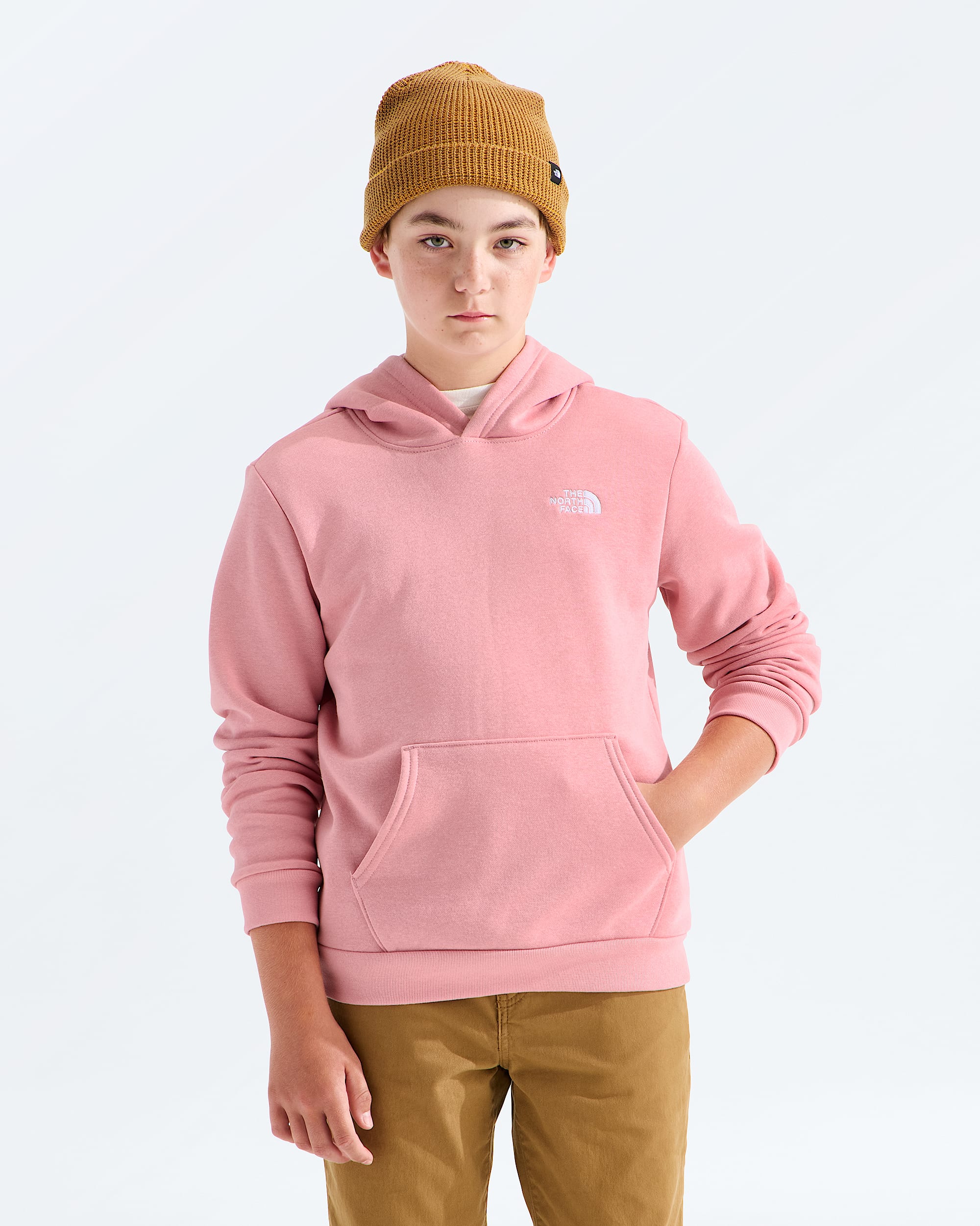 Boys  Girls Evolution Simple Dome Pullover Hoodie TNF HERO3