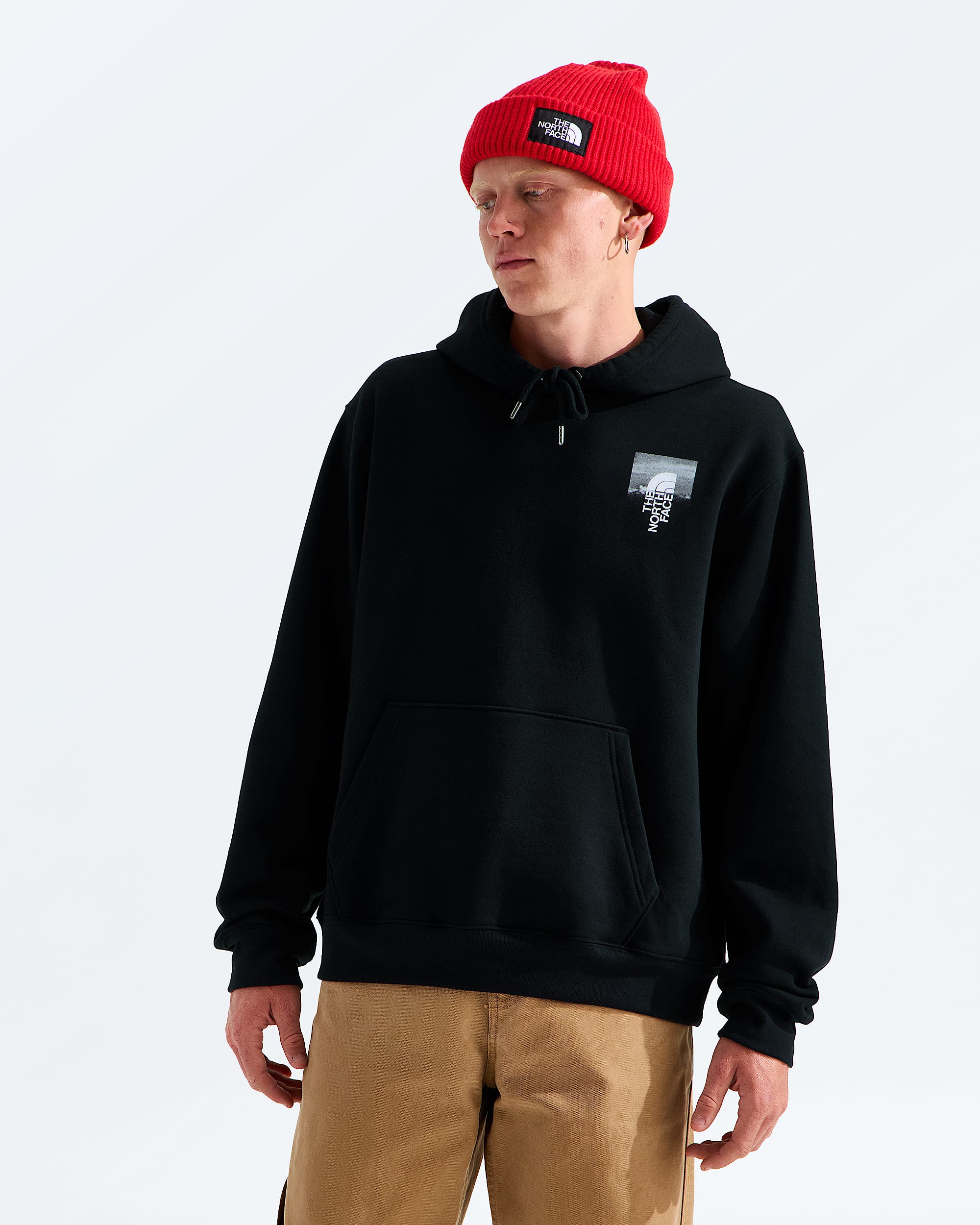 Mens Apex 75 Collage Relaxed Hoodie TNF BACK