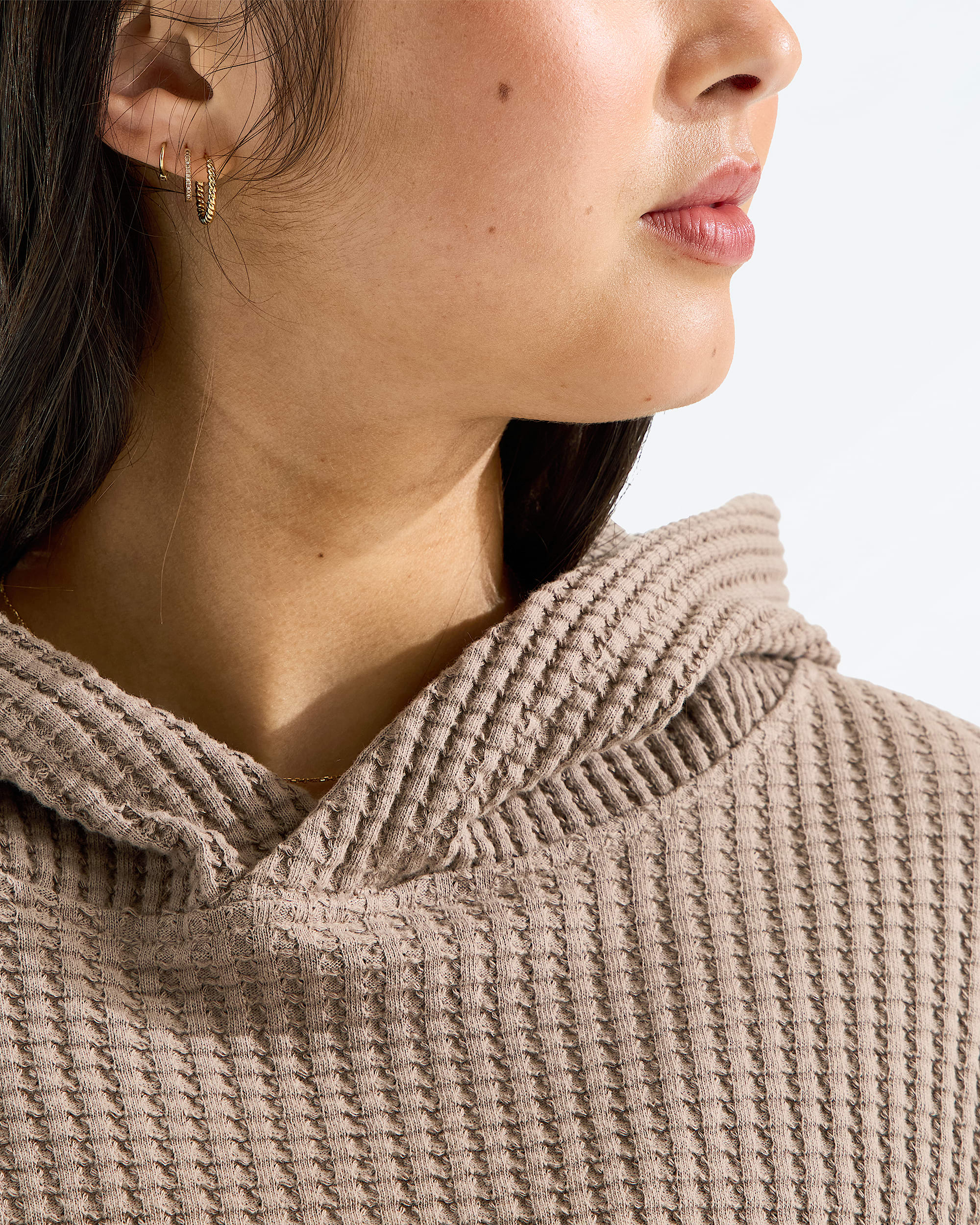Chandail  capuchon Chabot 20 pour femmes TNF MODELCLOSE1