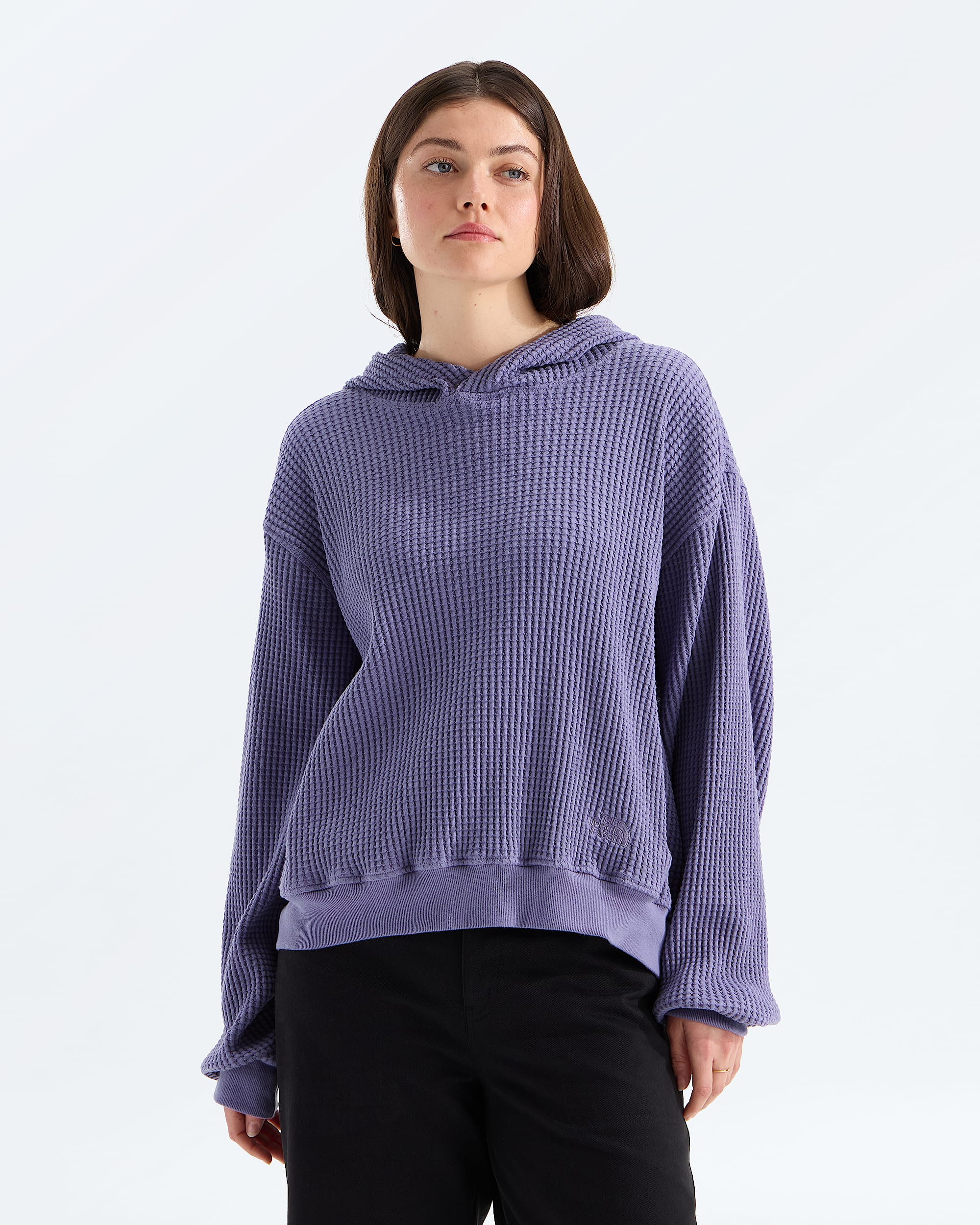 Womens Chabot 20 Hoodie TNF Main