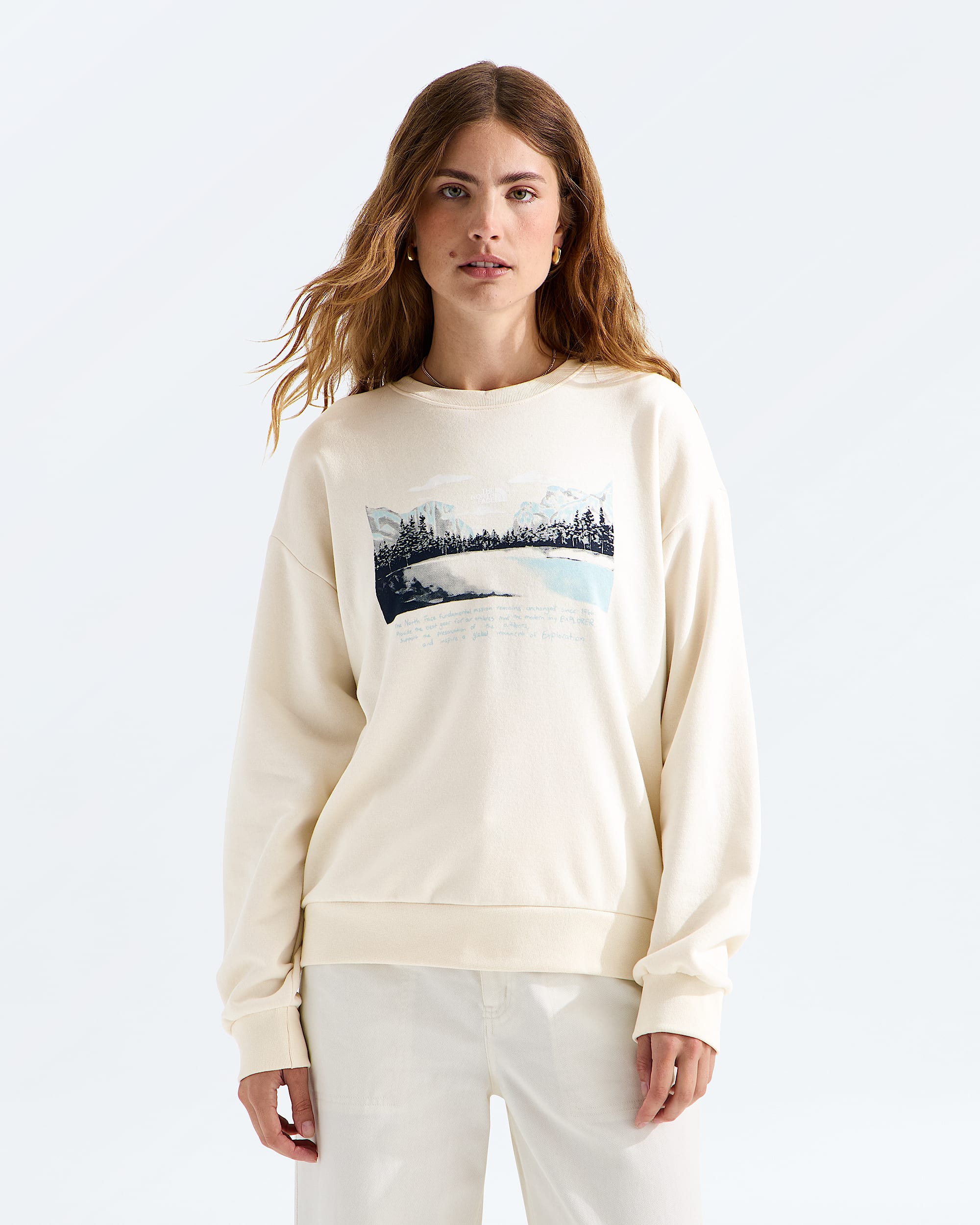 Womens Evolution Mountain Oasis Oversize Crew TNF Main